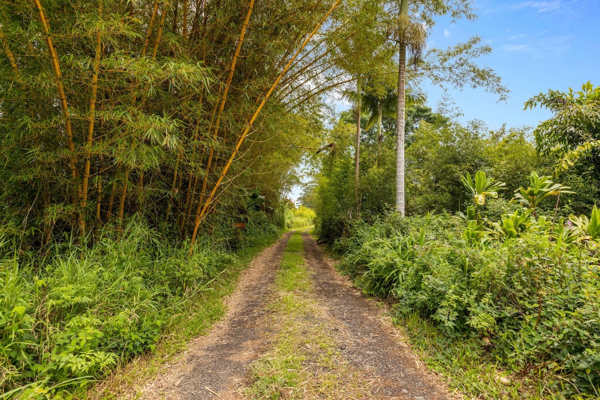 17-610 MANAOLANA ROAD