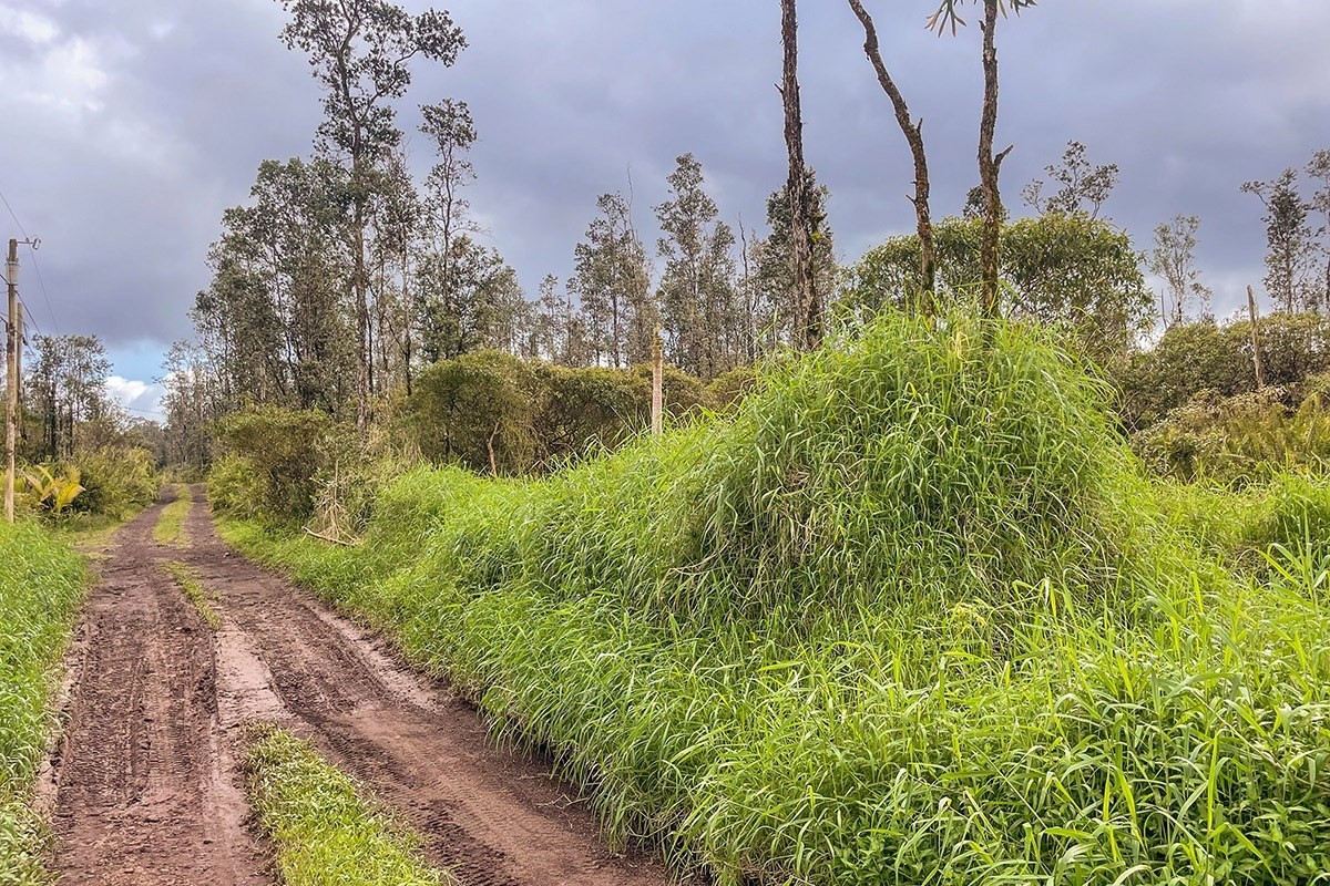 ROAD 7 (OPEAPEA)