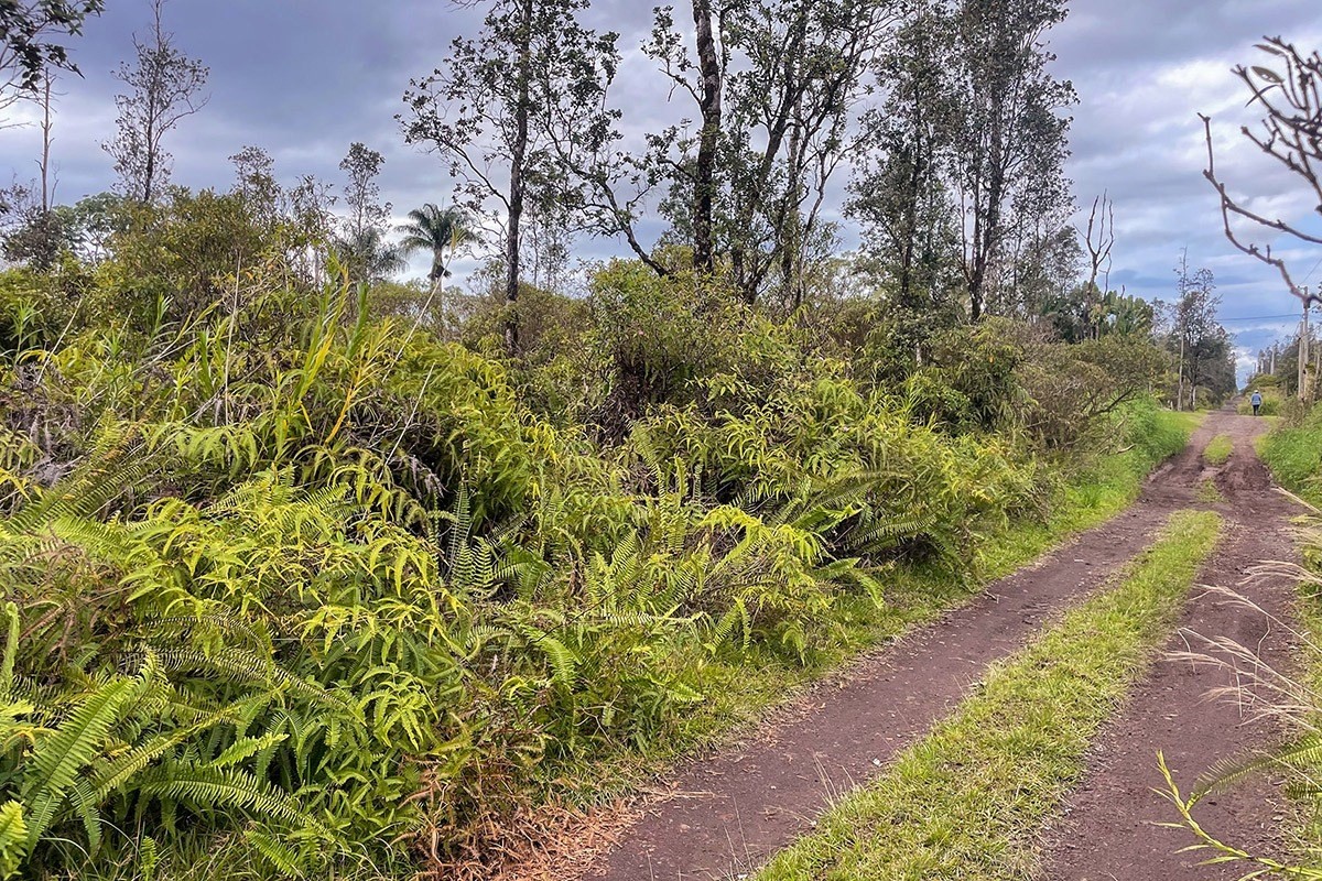 ROAD 7 (OPEAPEA)