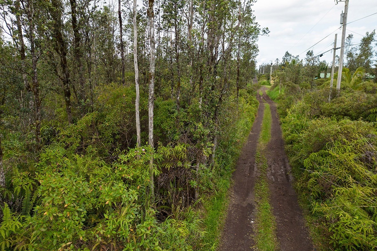 ROAD 7 (OPEAPEA)