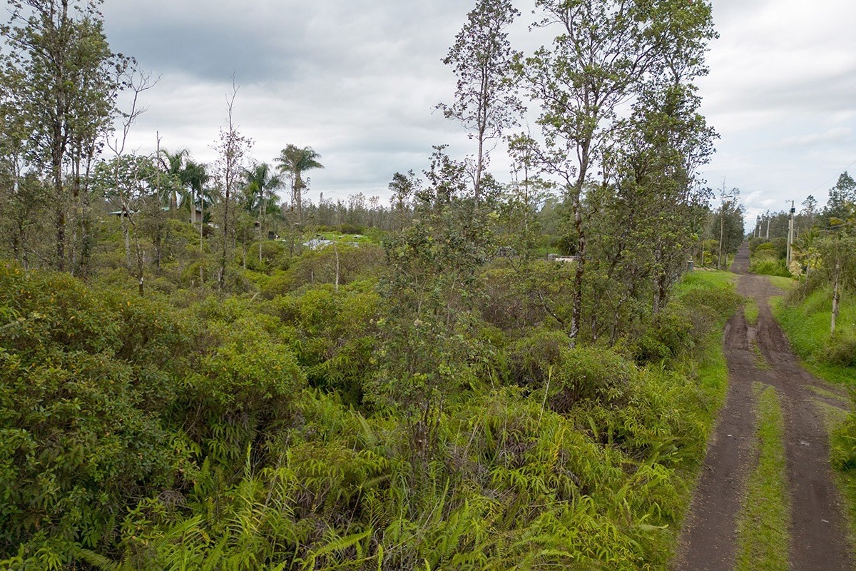 ROAD 7 (OPEAPEA)
