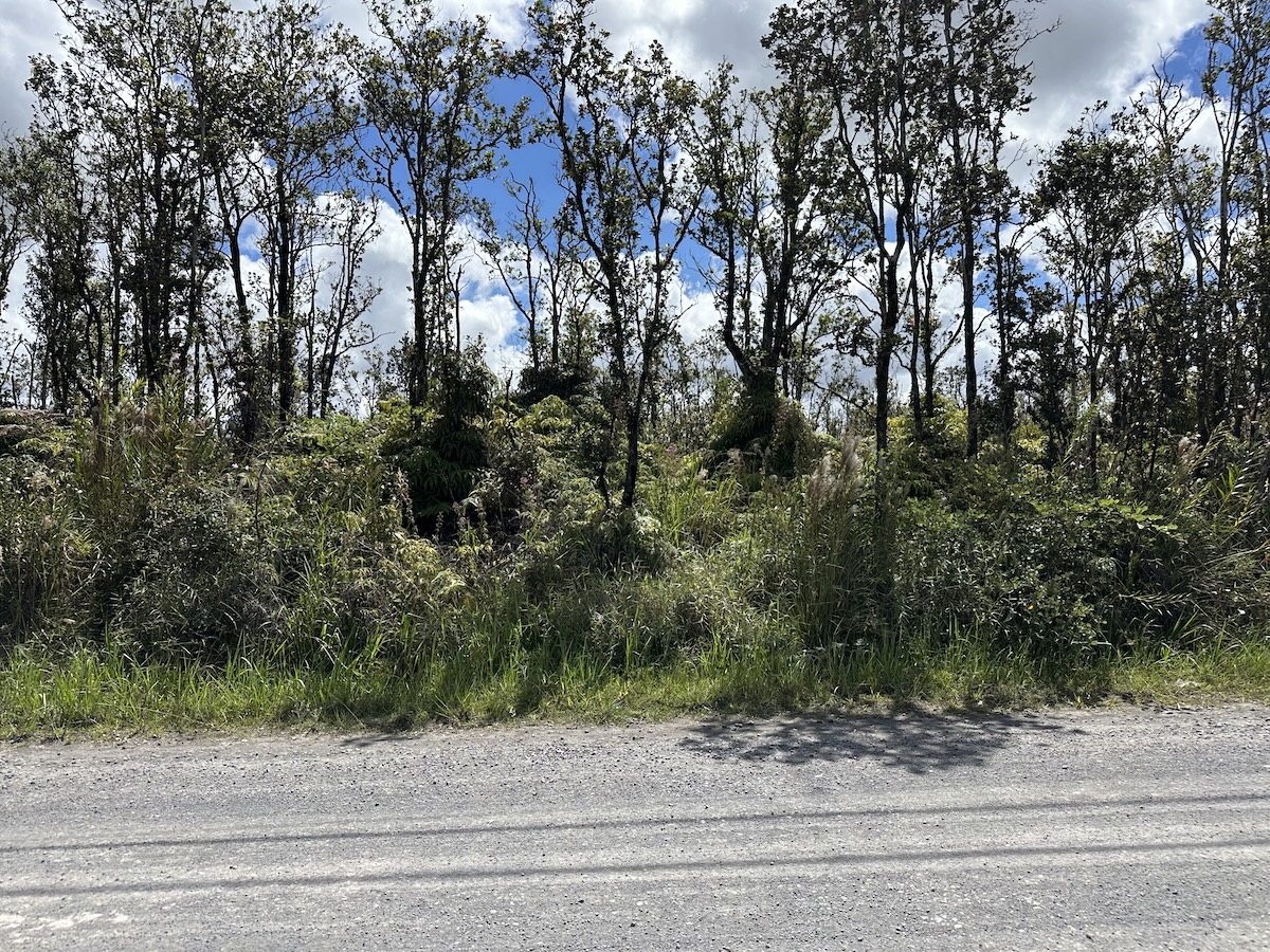 OHIALANI RD