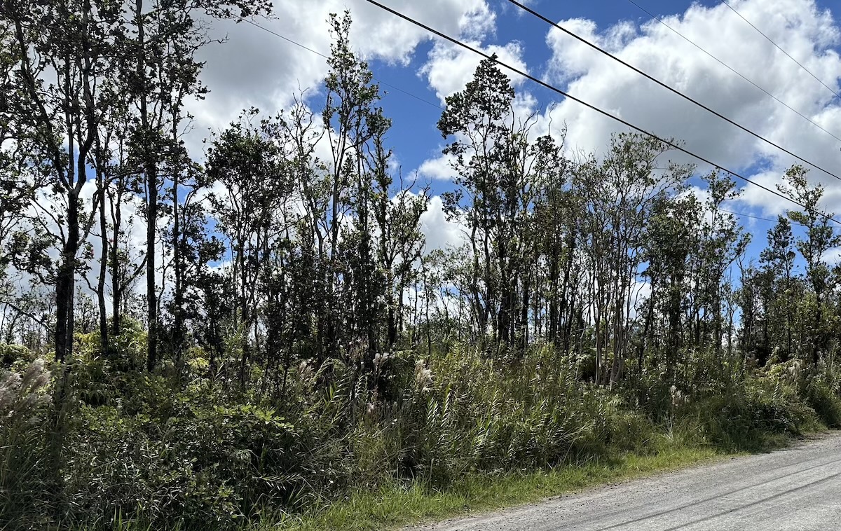 OHIALANI RD