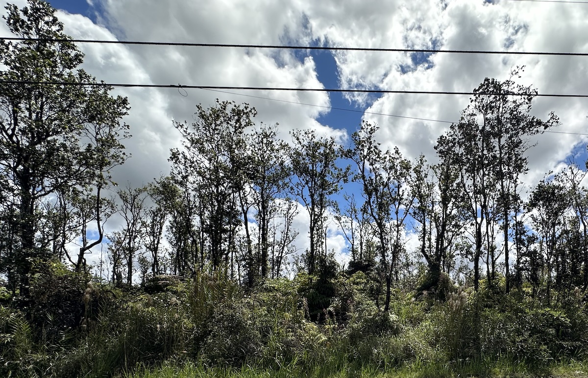 OHIALANI RD