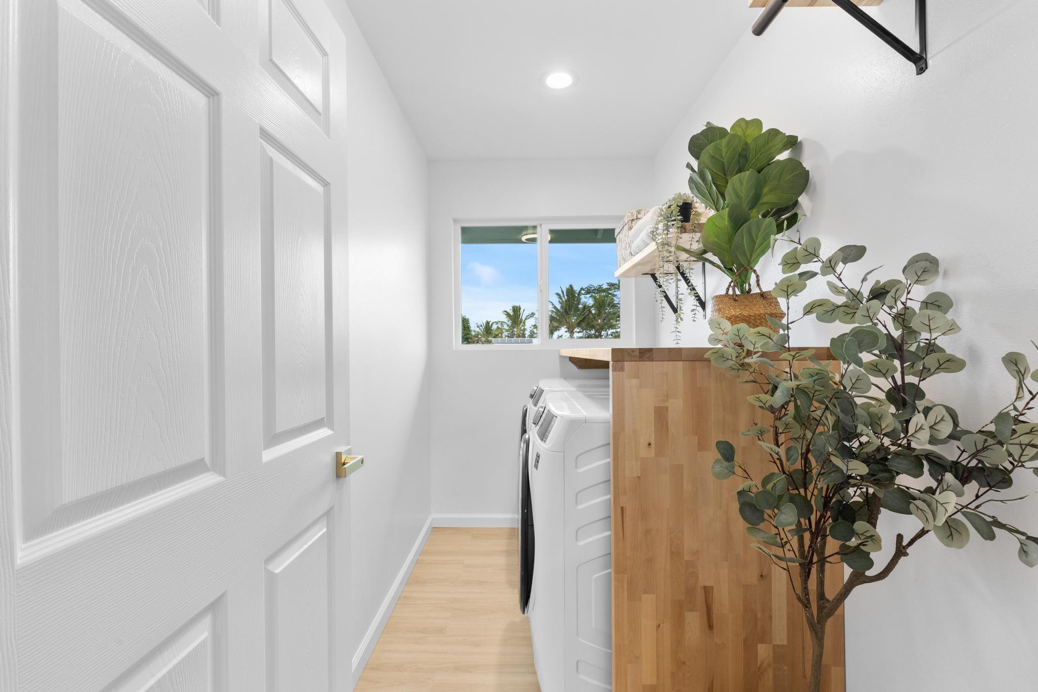 16-2135 TREE FERN DR