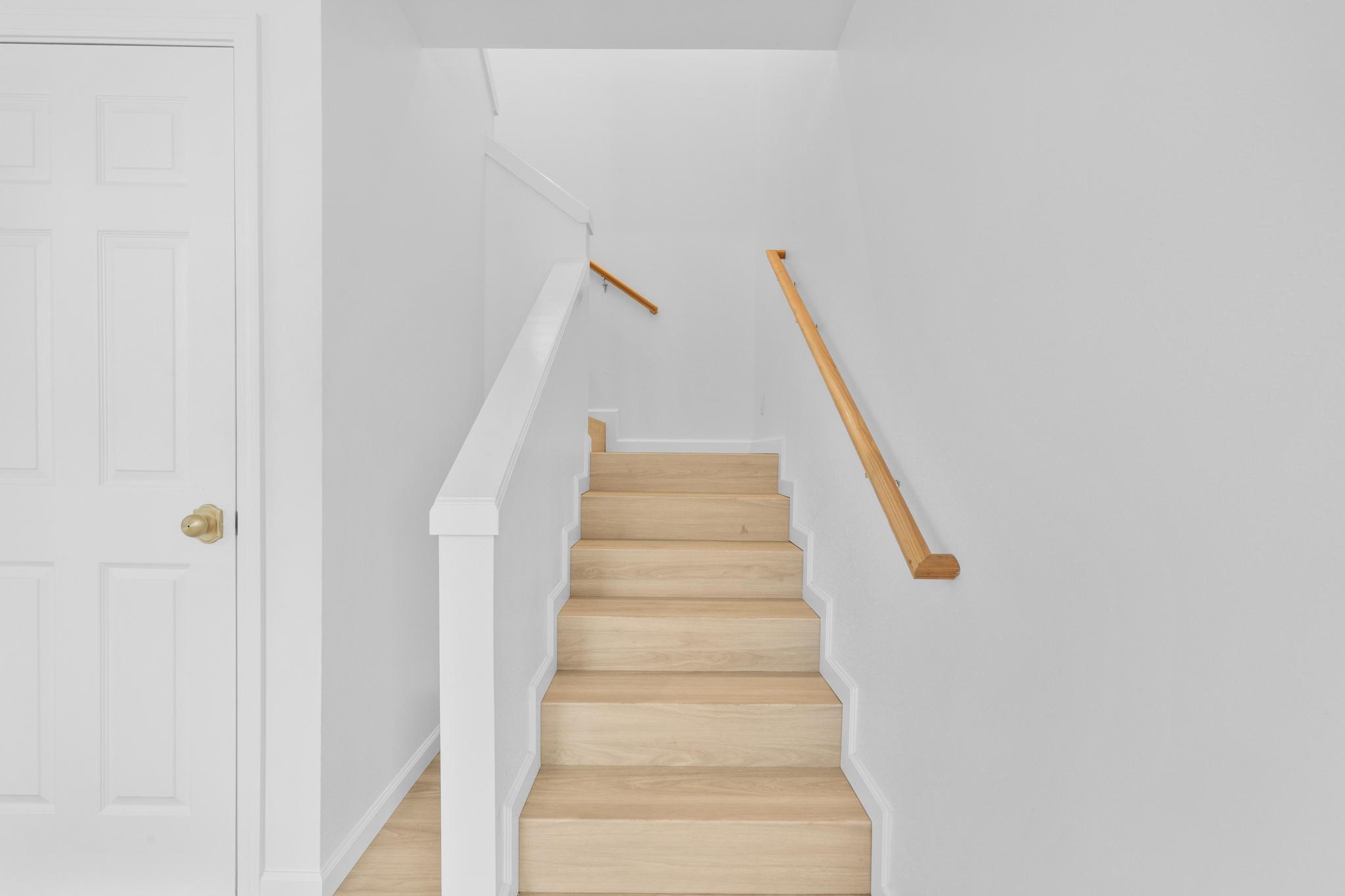 16-2135 TREE FERN DR