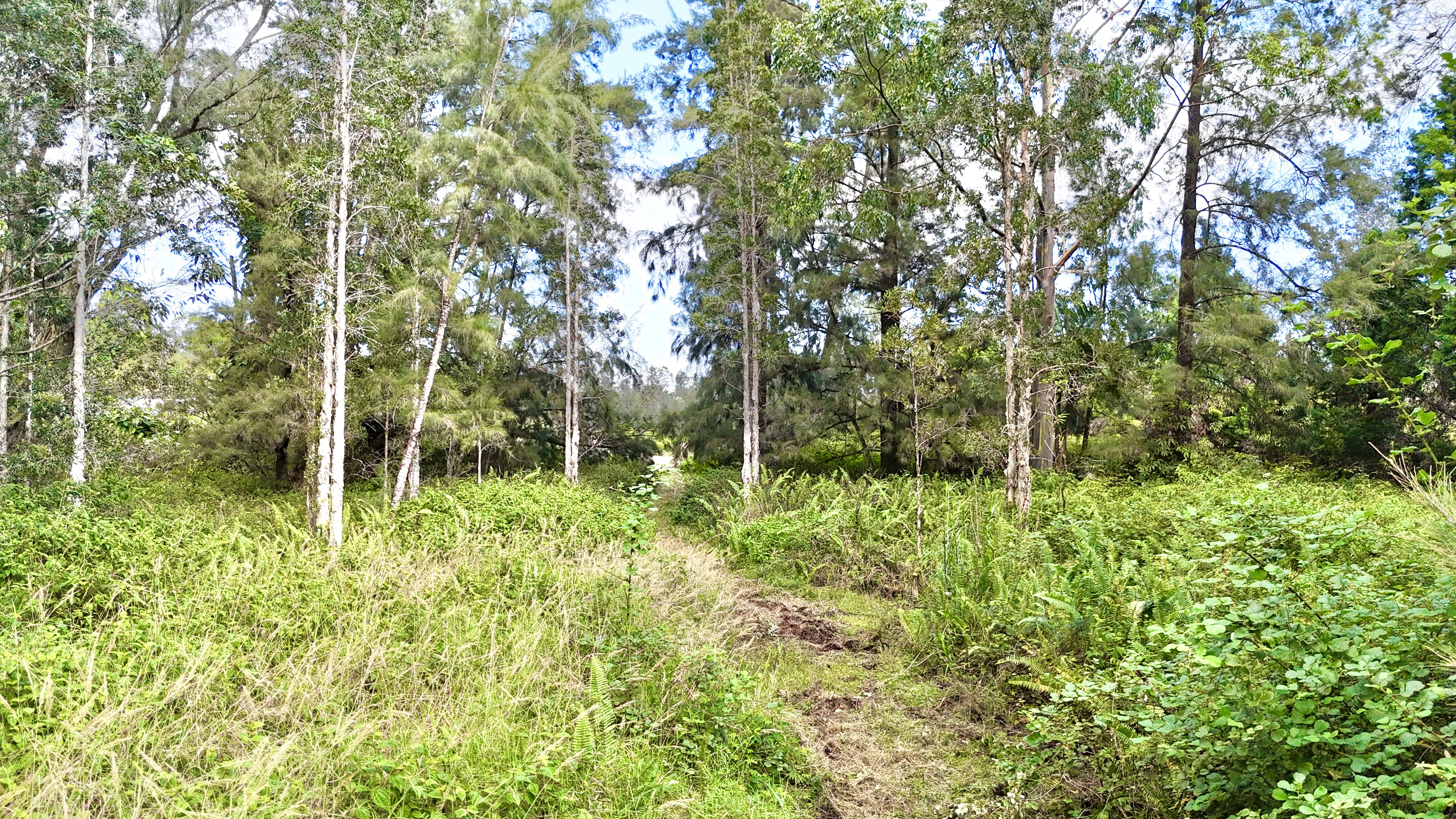 16-2012 RD 1 (UHINI ANA) RD