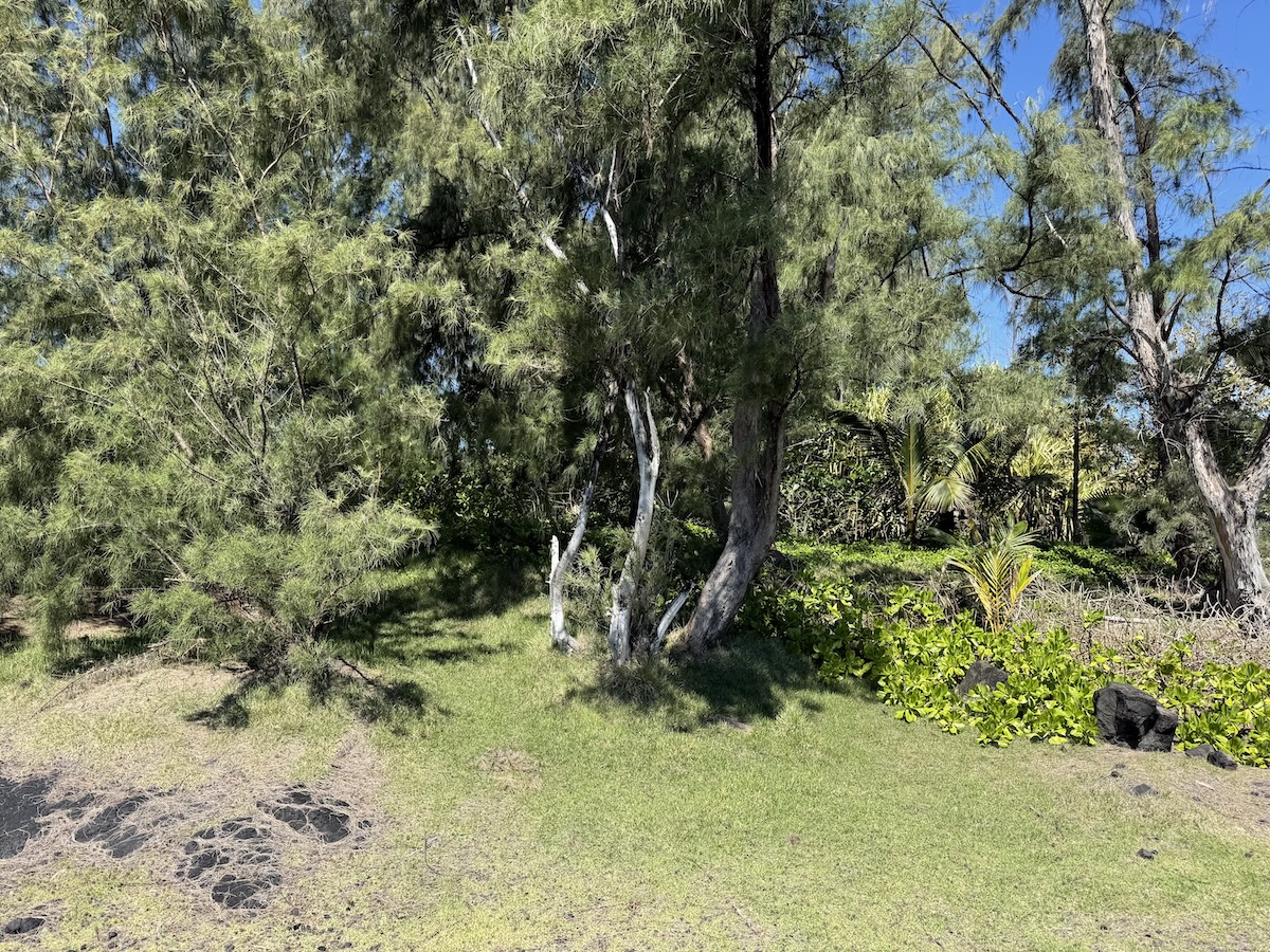 15-833 PARADISE ALA KAI