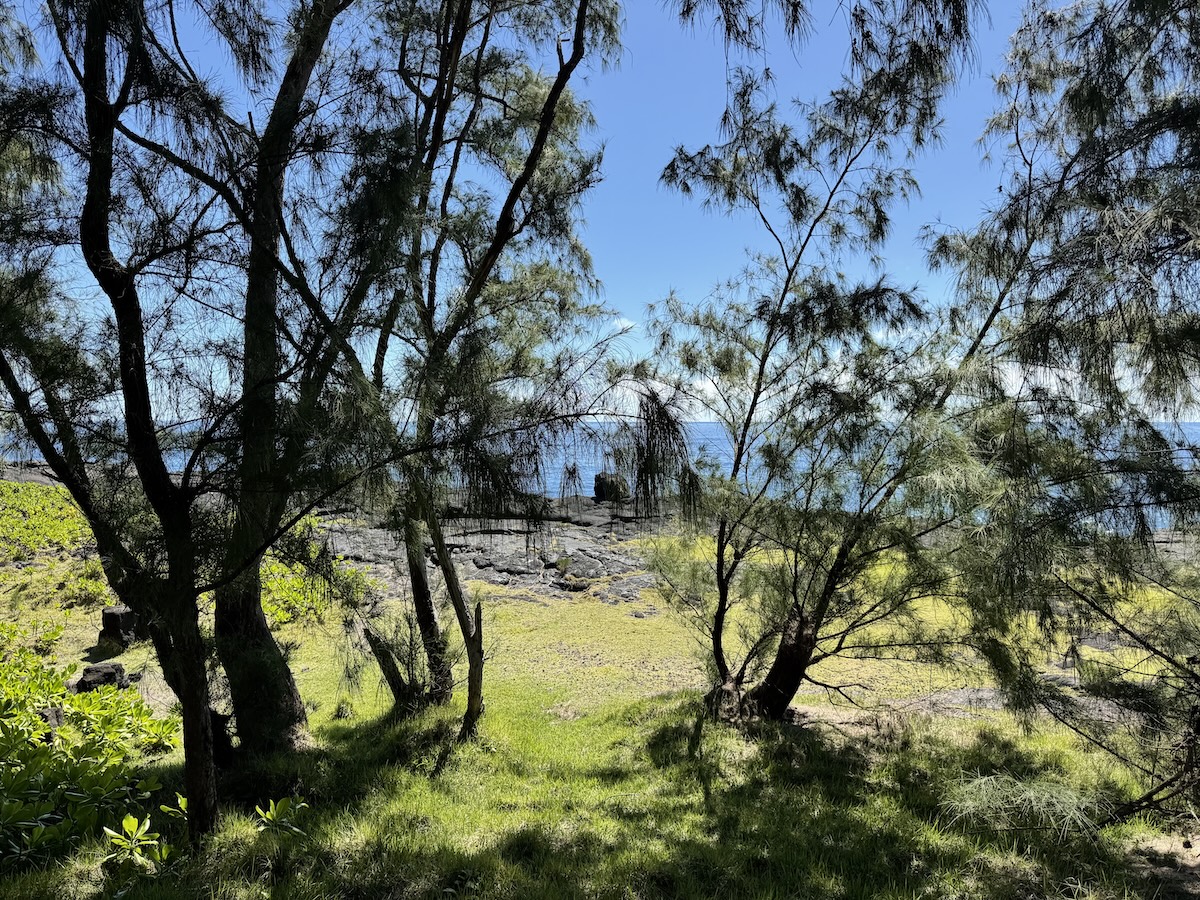 15-833 PARADISE ALA KAI