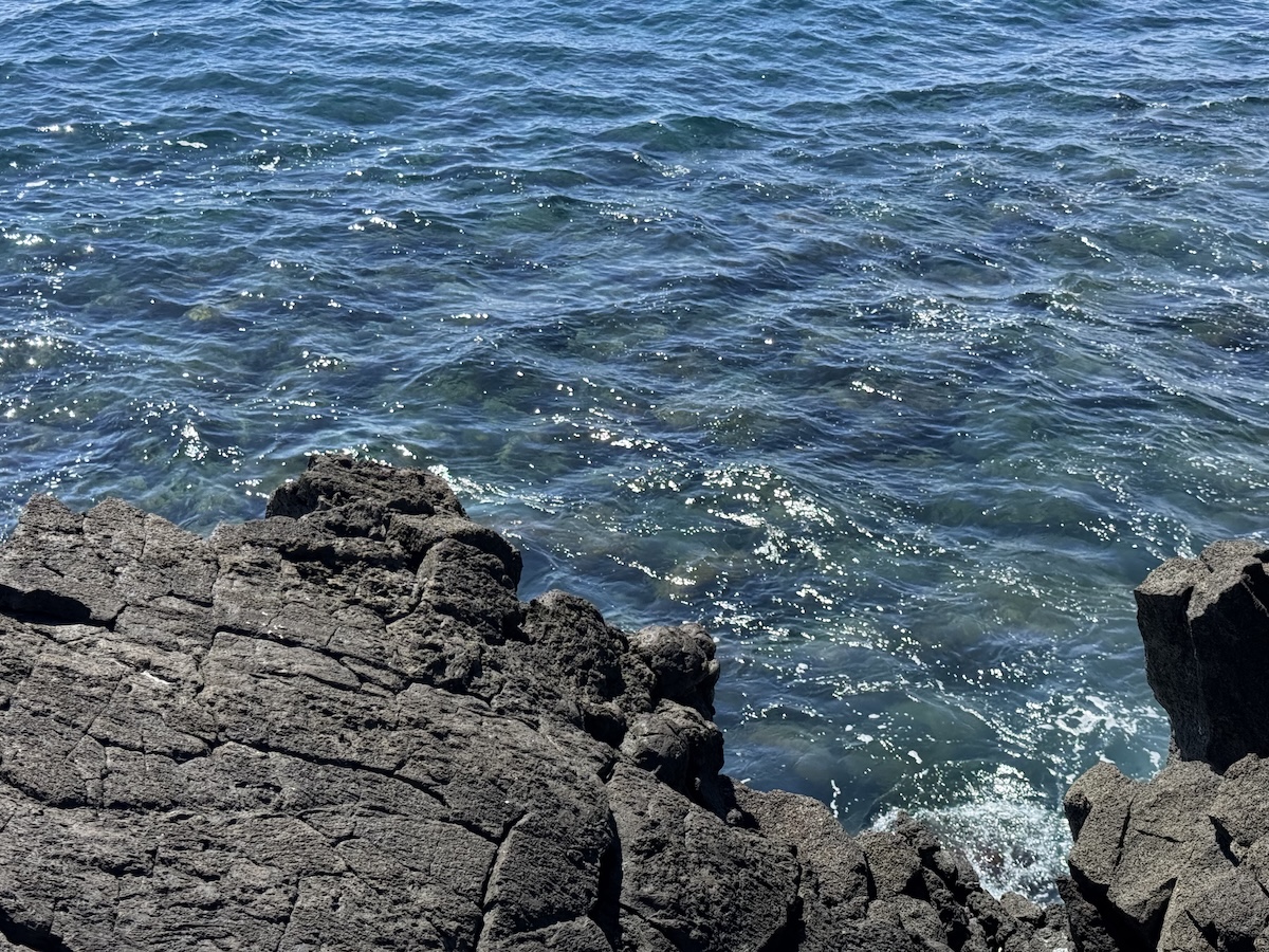 15-833 PARADISE ALA KAI