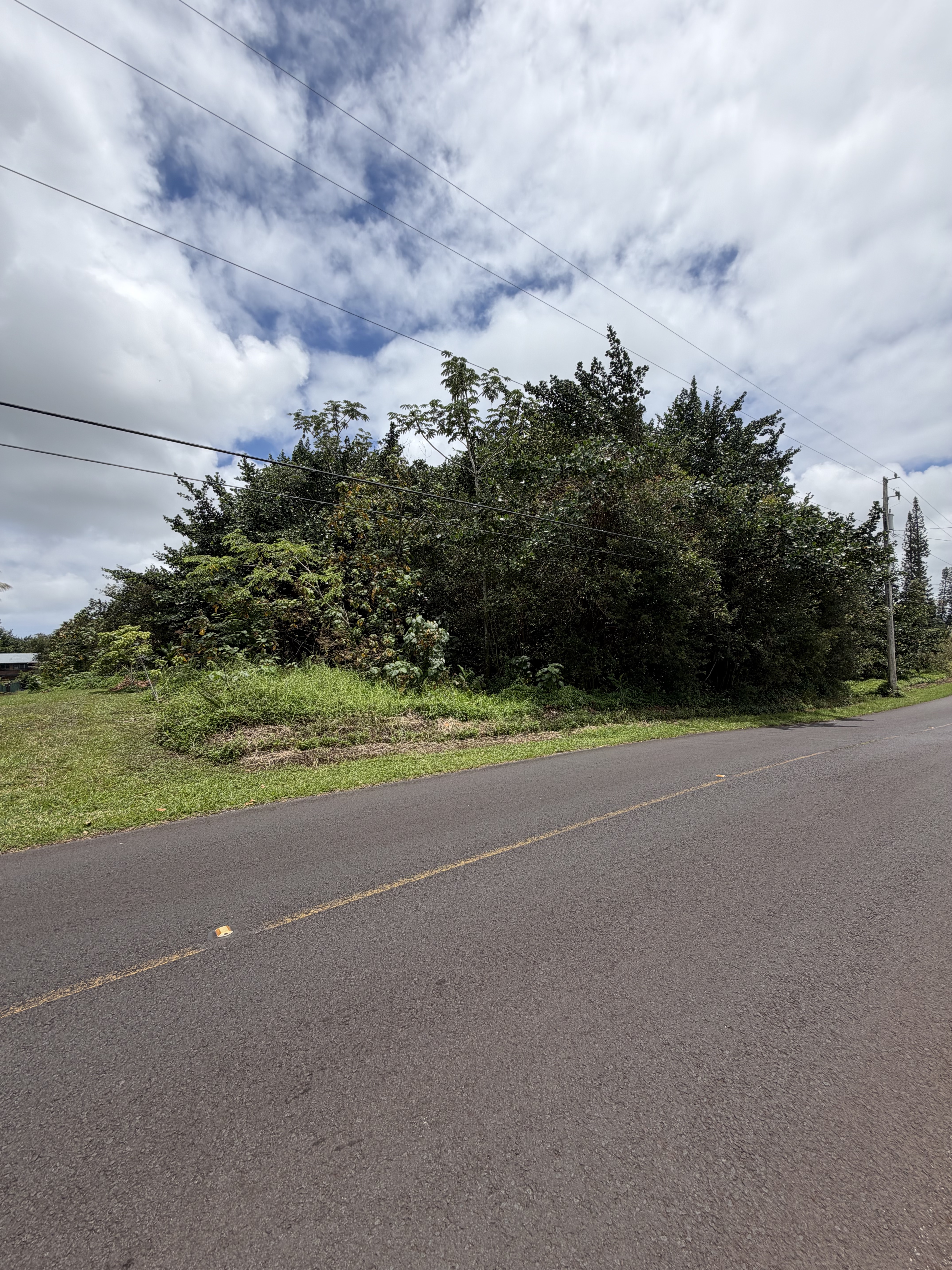 POHAKU CIRCLE