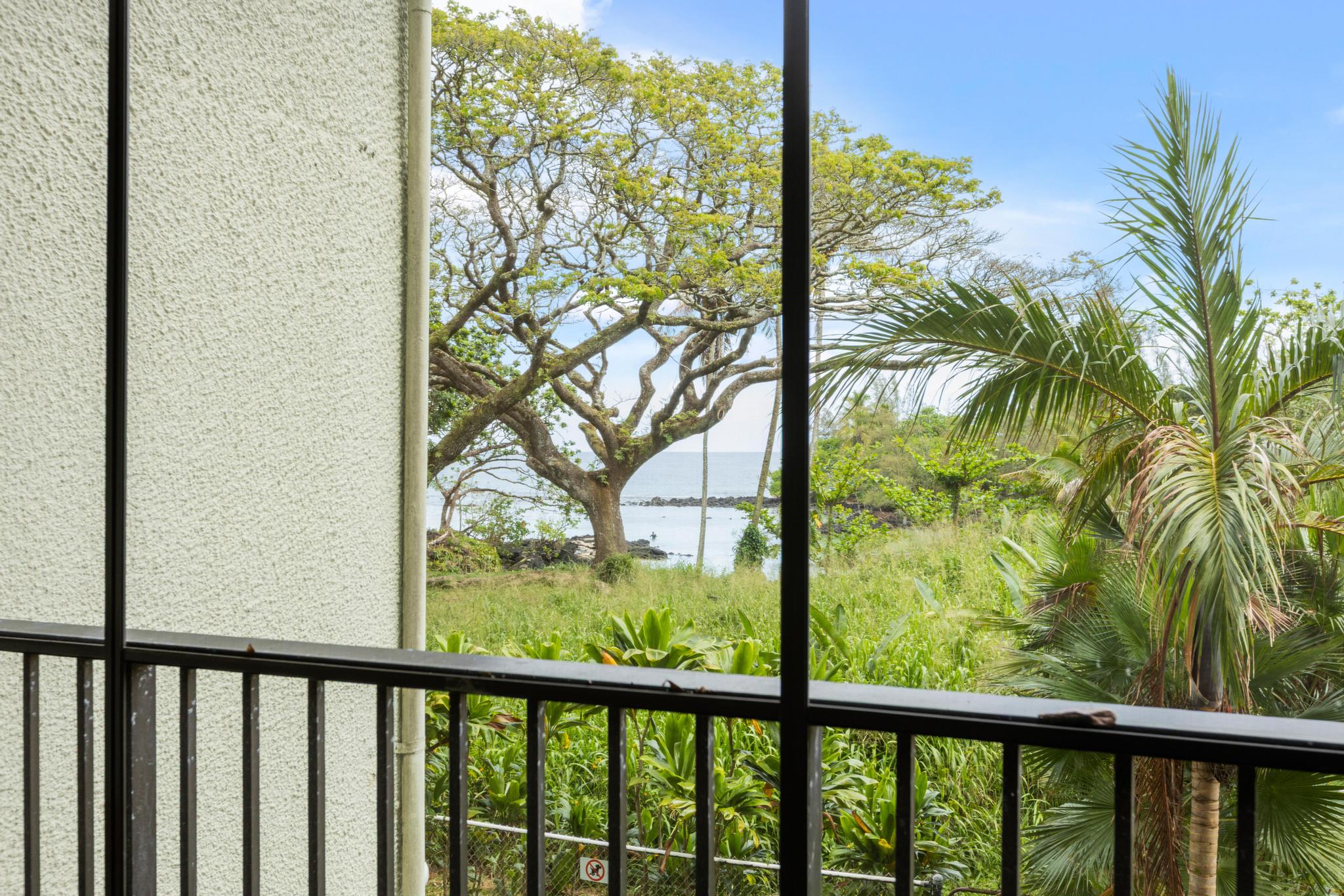 1875 MAUNA LOA SHORES 104