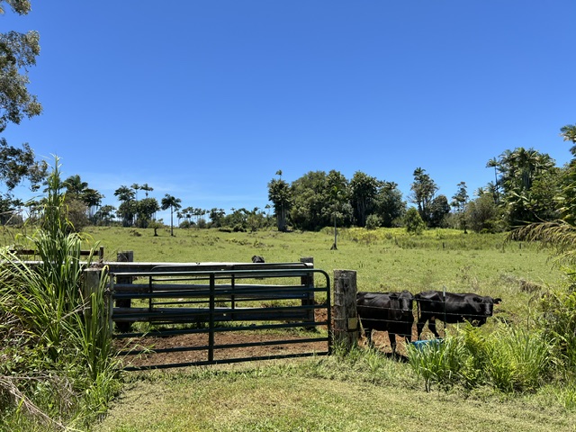 COUNTRY CLUB RD