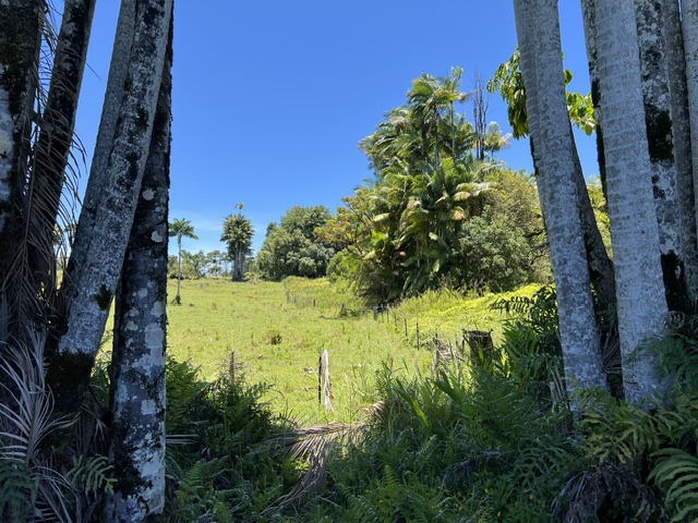 COUNTRY CLUB RD