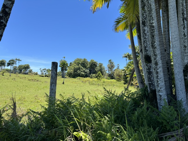 COUNTRY CLUB RD