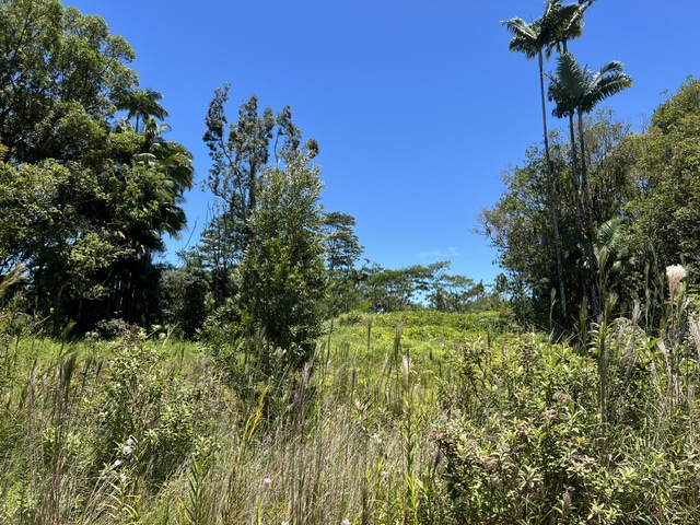 COUNTRY CLUB RD