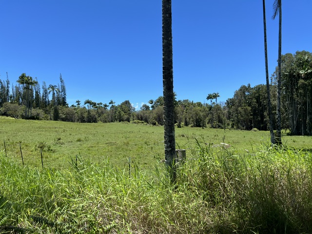 COUNTRY CLUB RD