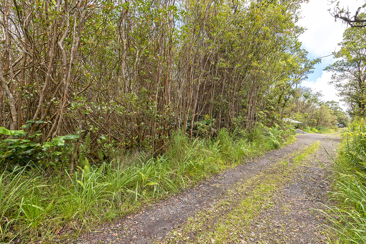 ROAD 13