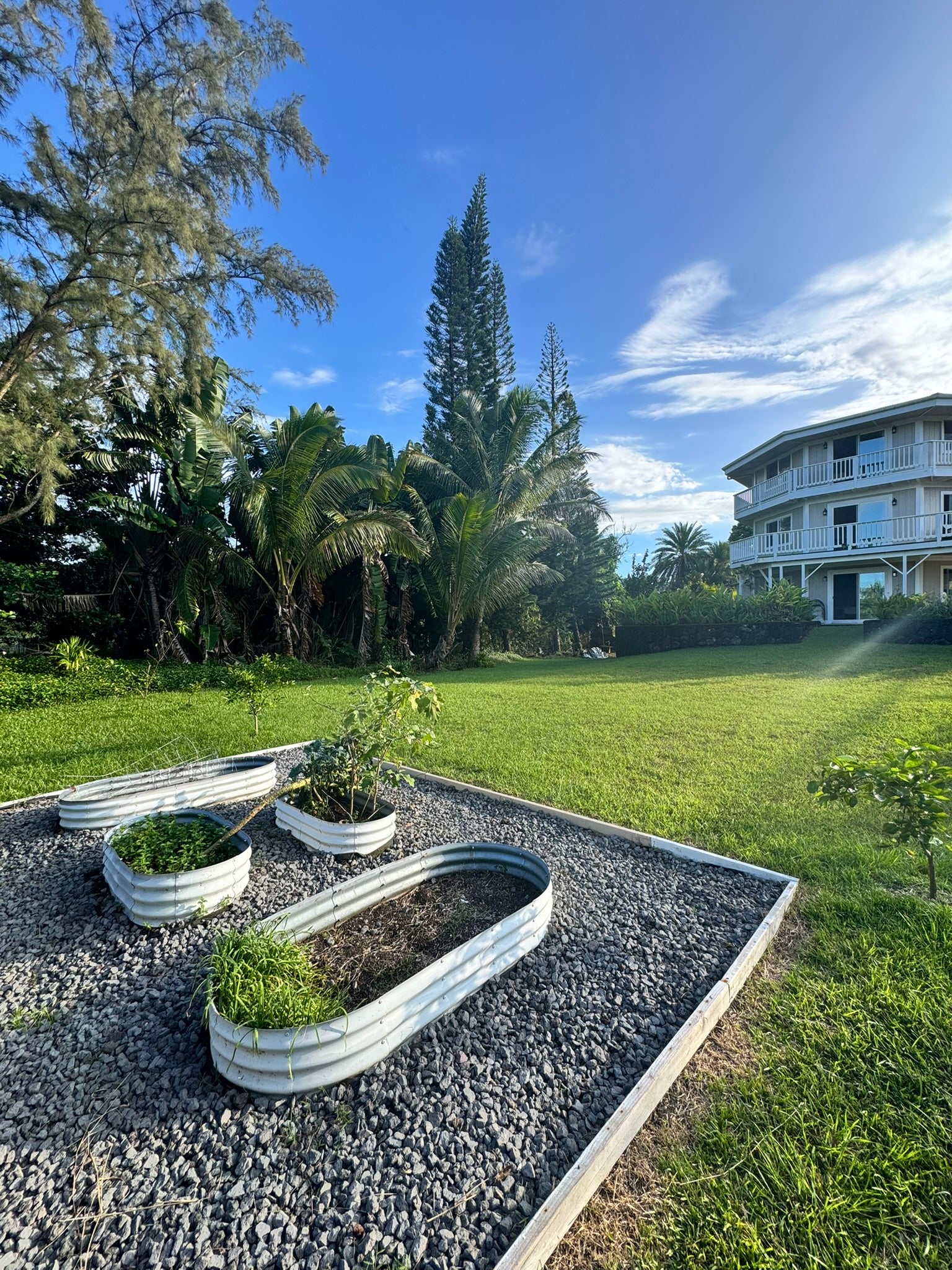 15-1077 AMAU RD