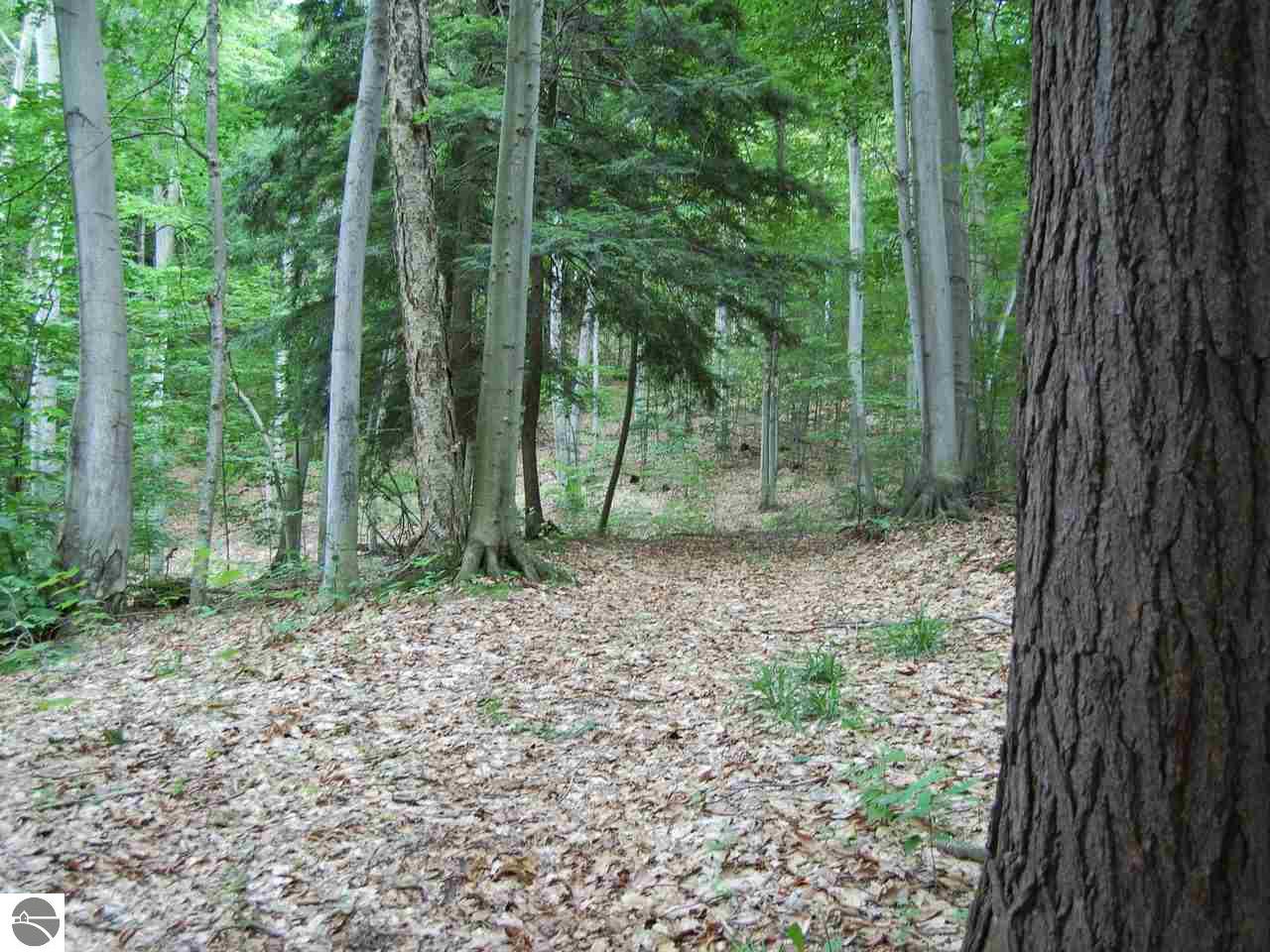 S Bohemian Road