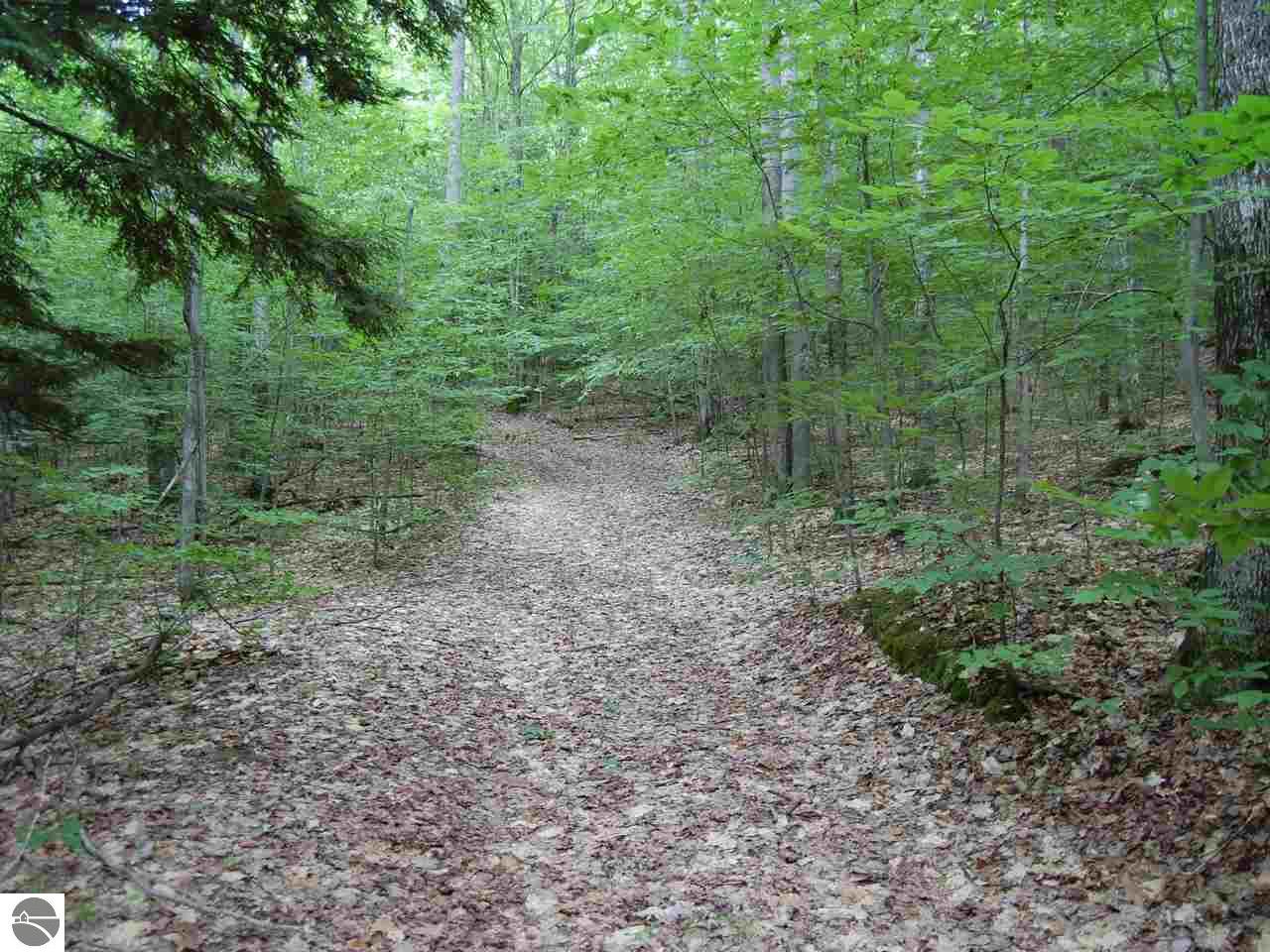 S Bohemian Road