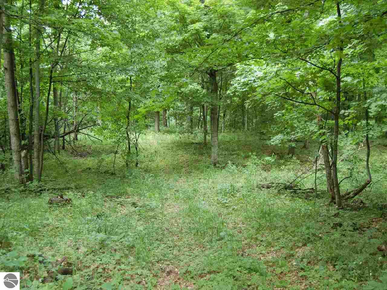 S Bohemian Road