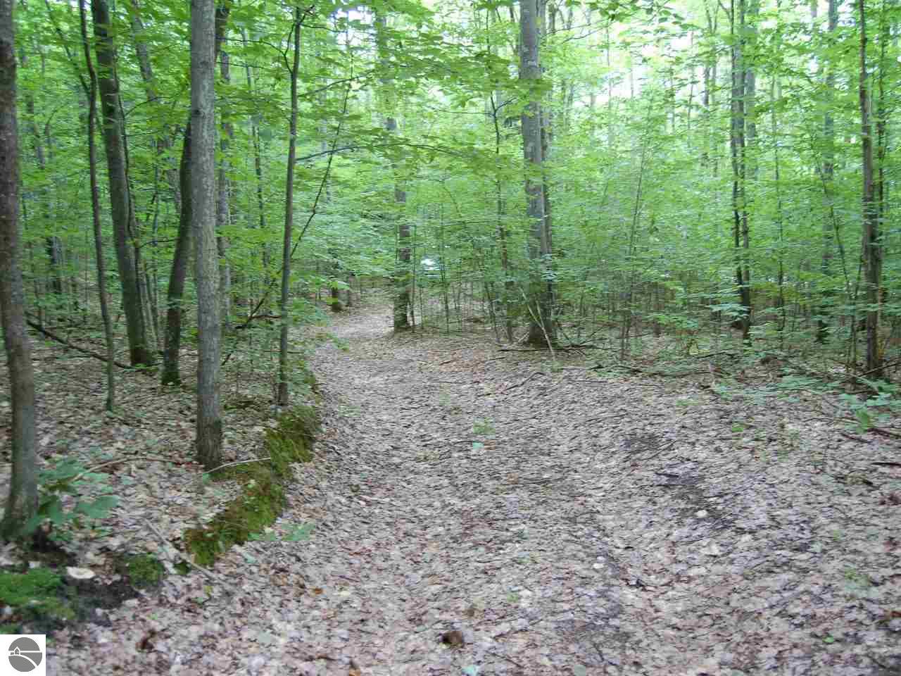 S Bohemian Road