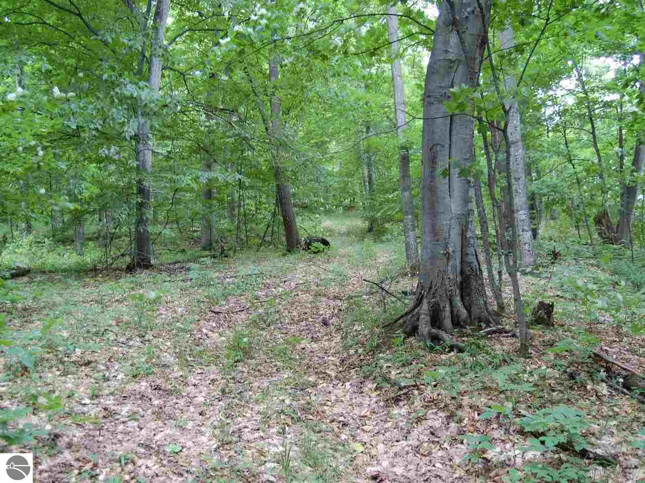 S Bohemian Road