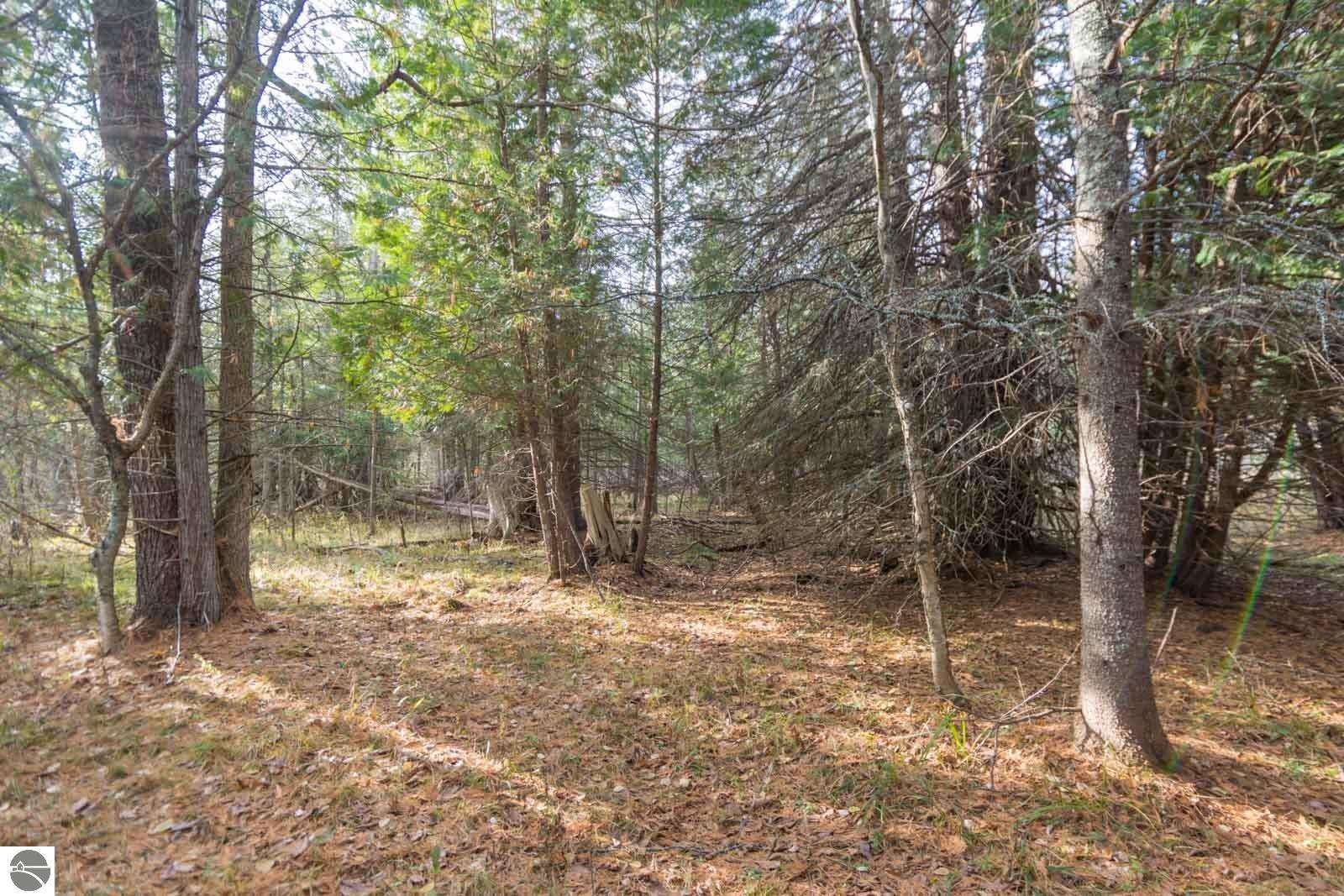 0000 E Bellinger Road