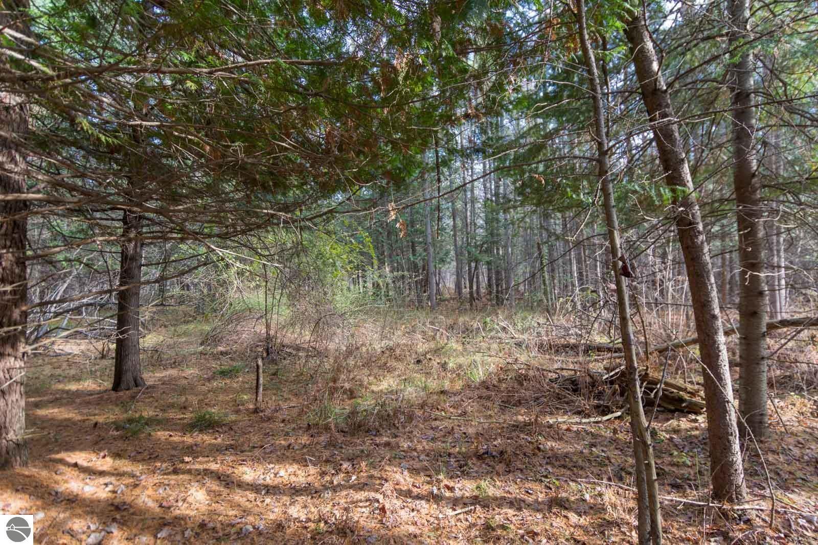 0000 E Bellinger Road