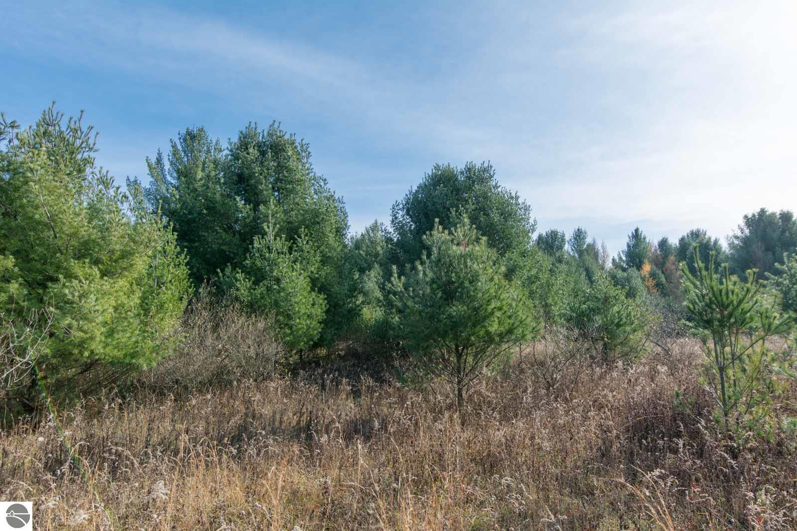 0000 E Bellinger Road