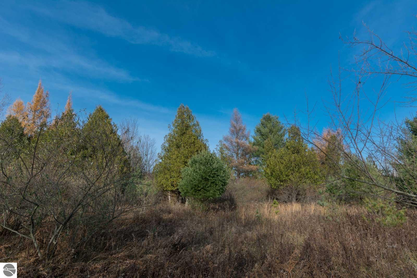 0000 E Bellinger Road