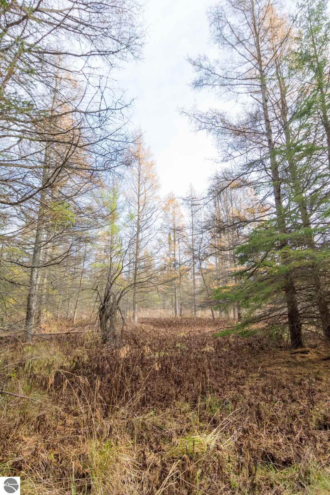 0000 E Bellinger Road