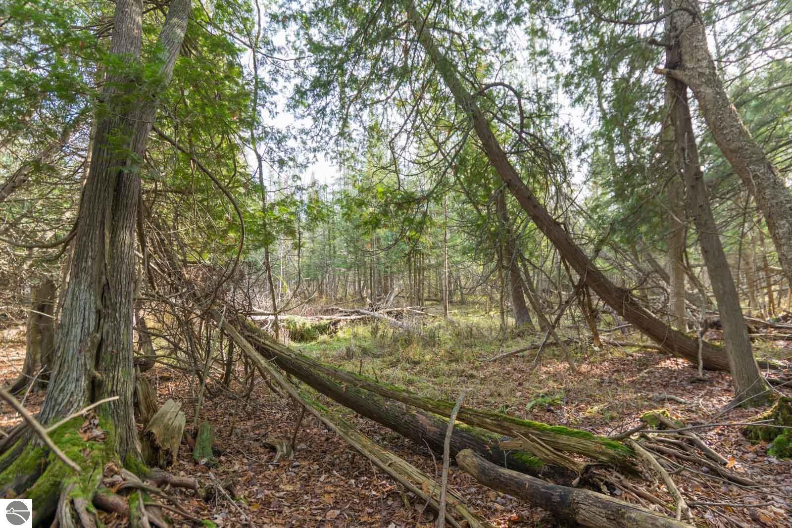 0000 E Bellinger Road