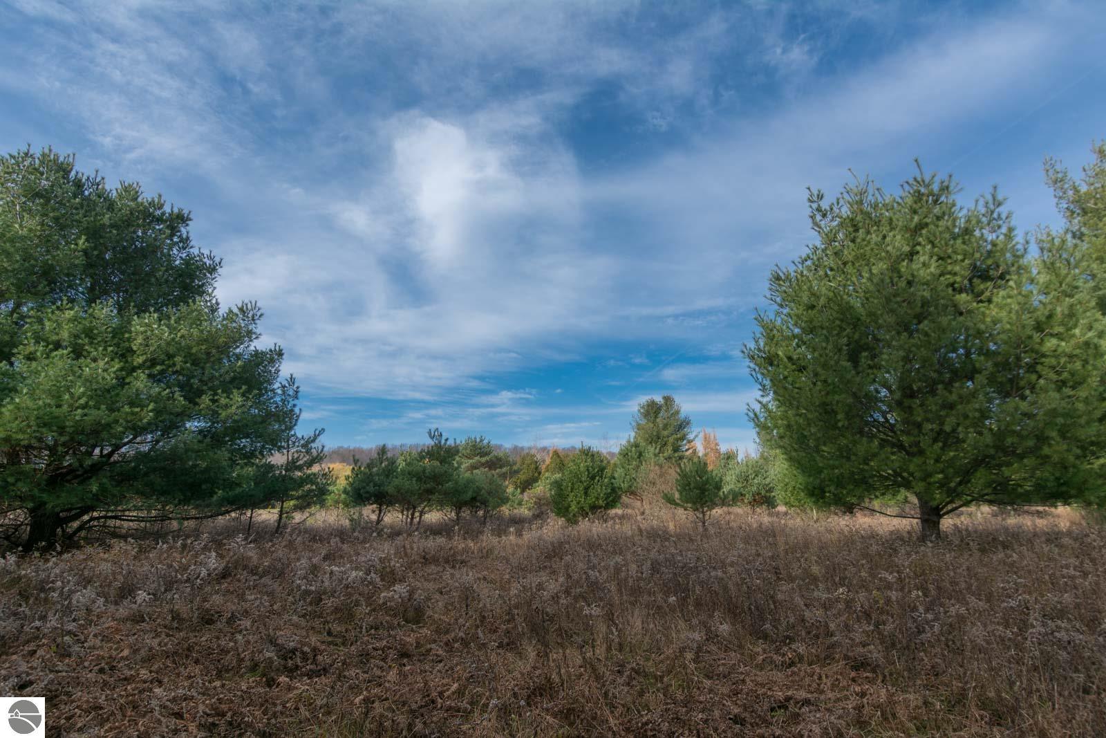 0000 E Bellinger Road