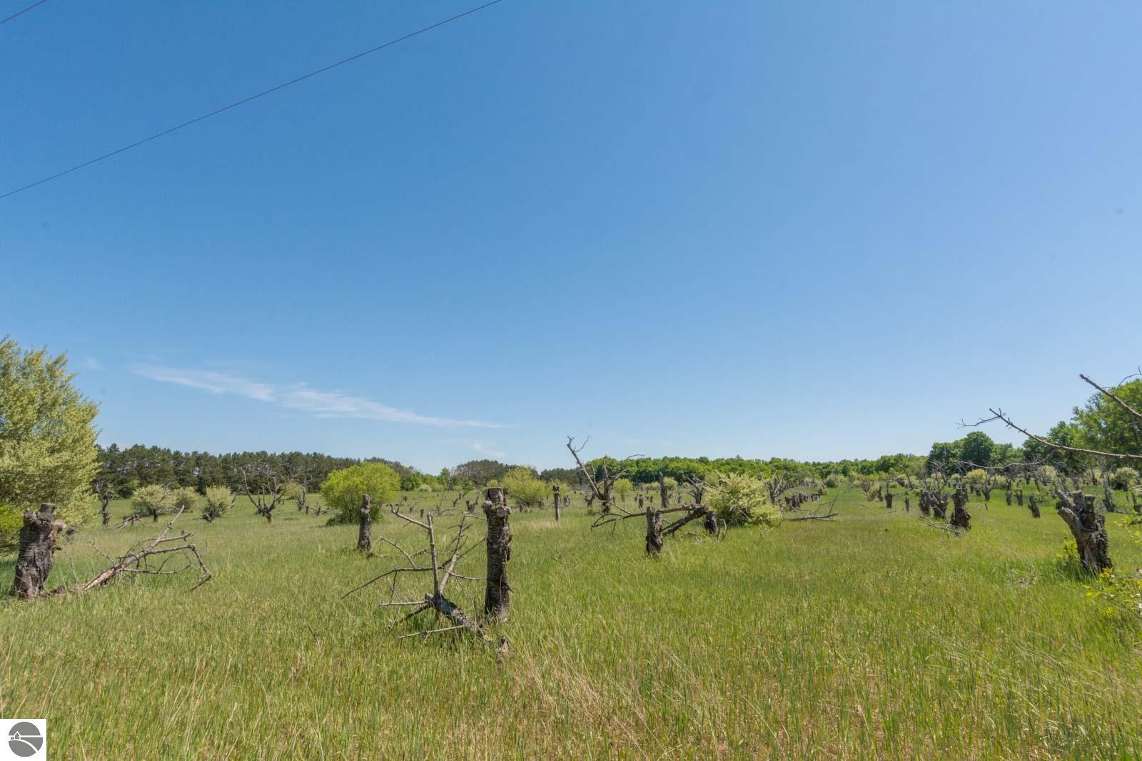 0000 W Ryant Road
