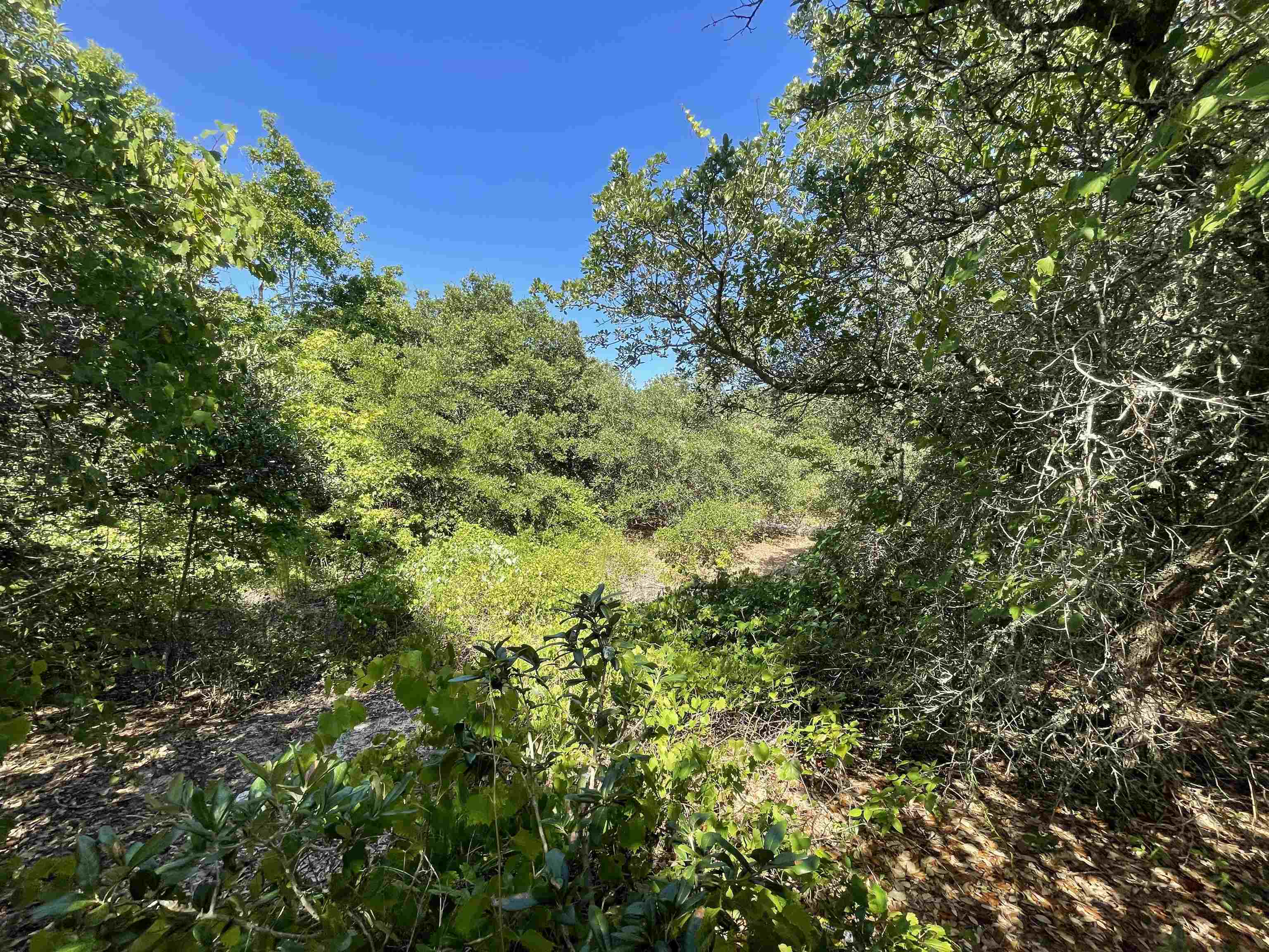 893 Drive lot 48