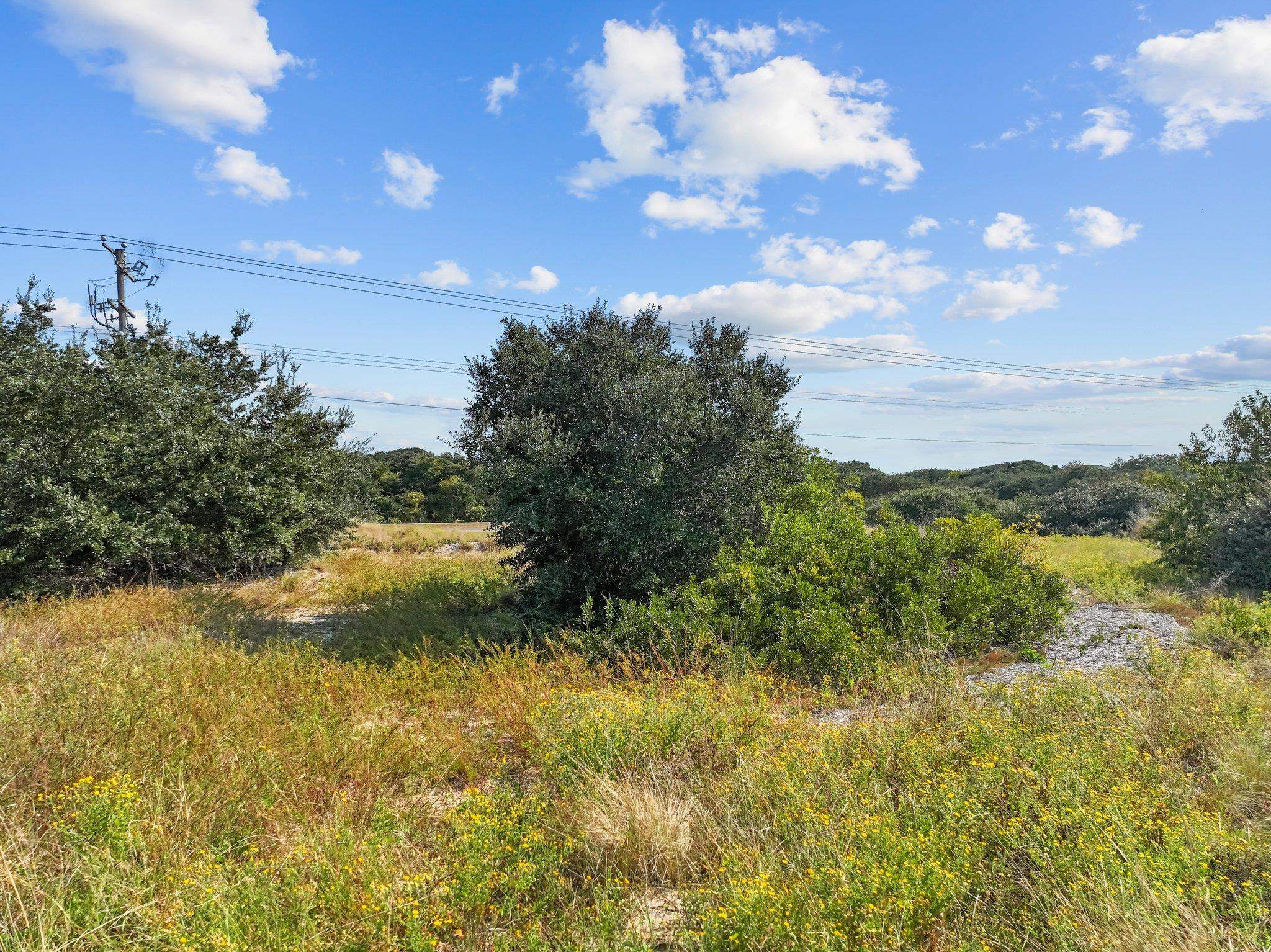 667 High Sand Dune Court lot 209