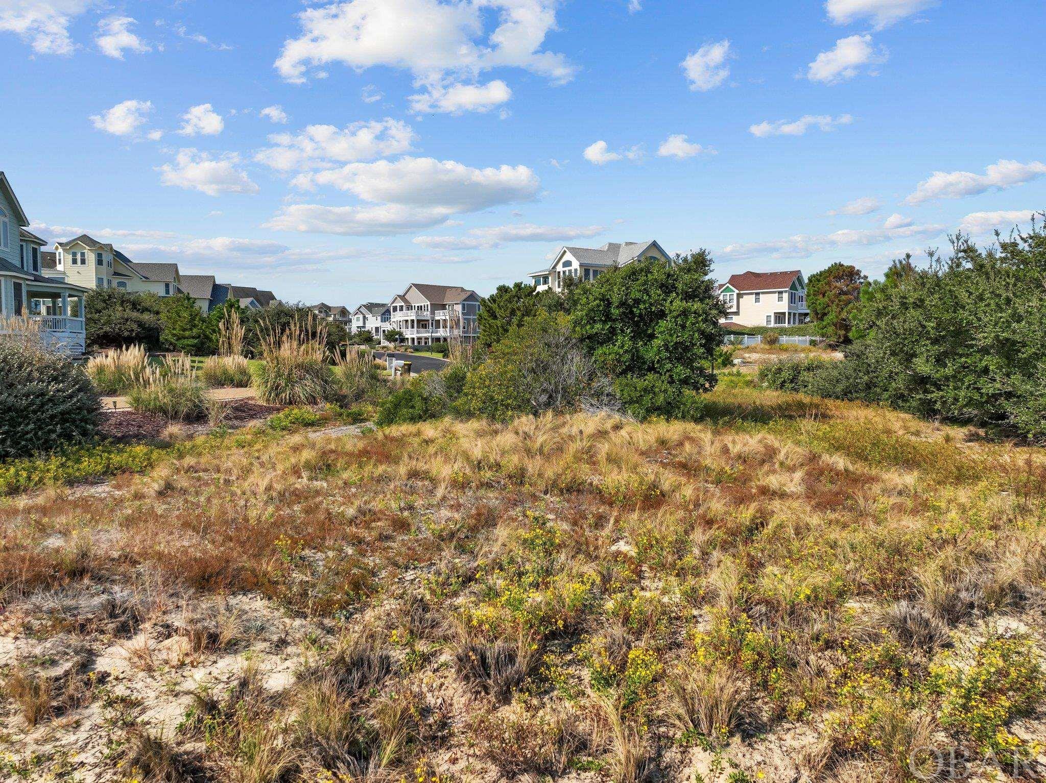 667 High Sand Dune Court lot 209