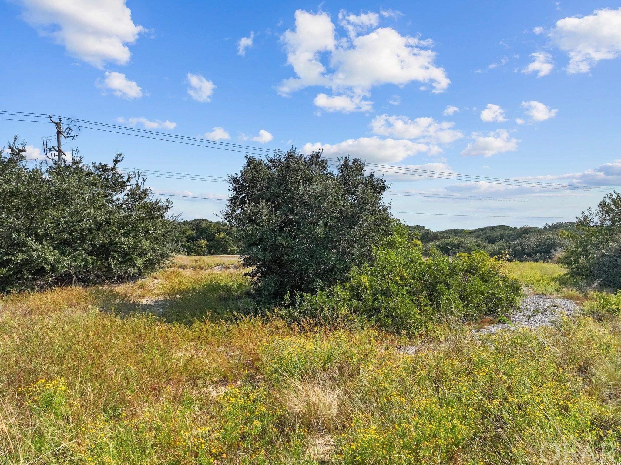 667 High Sand Dune Court lot 209