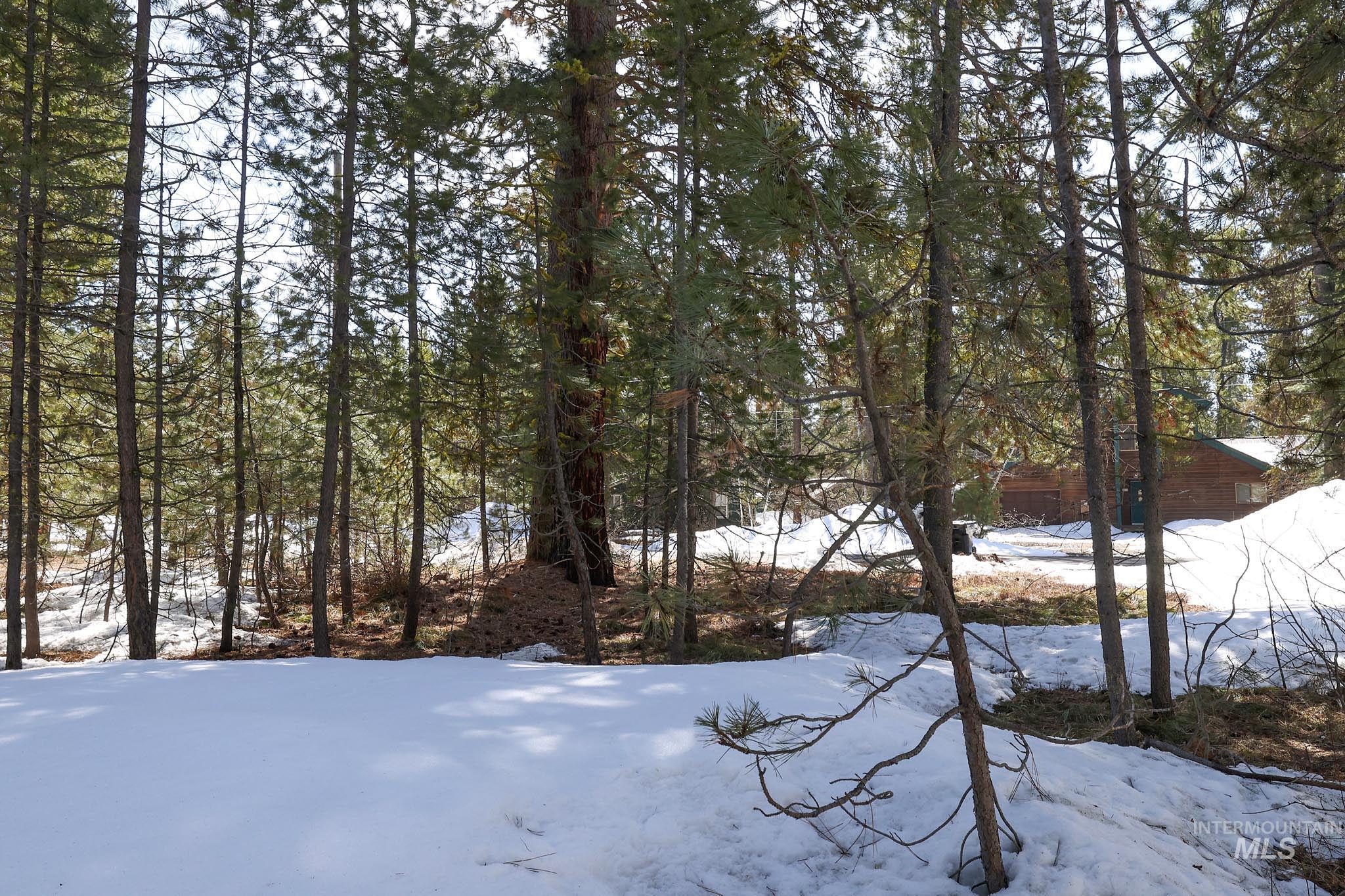 1013 Cee Way Loop, McCall