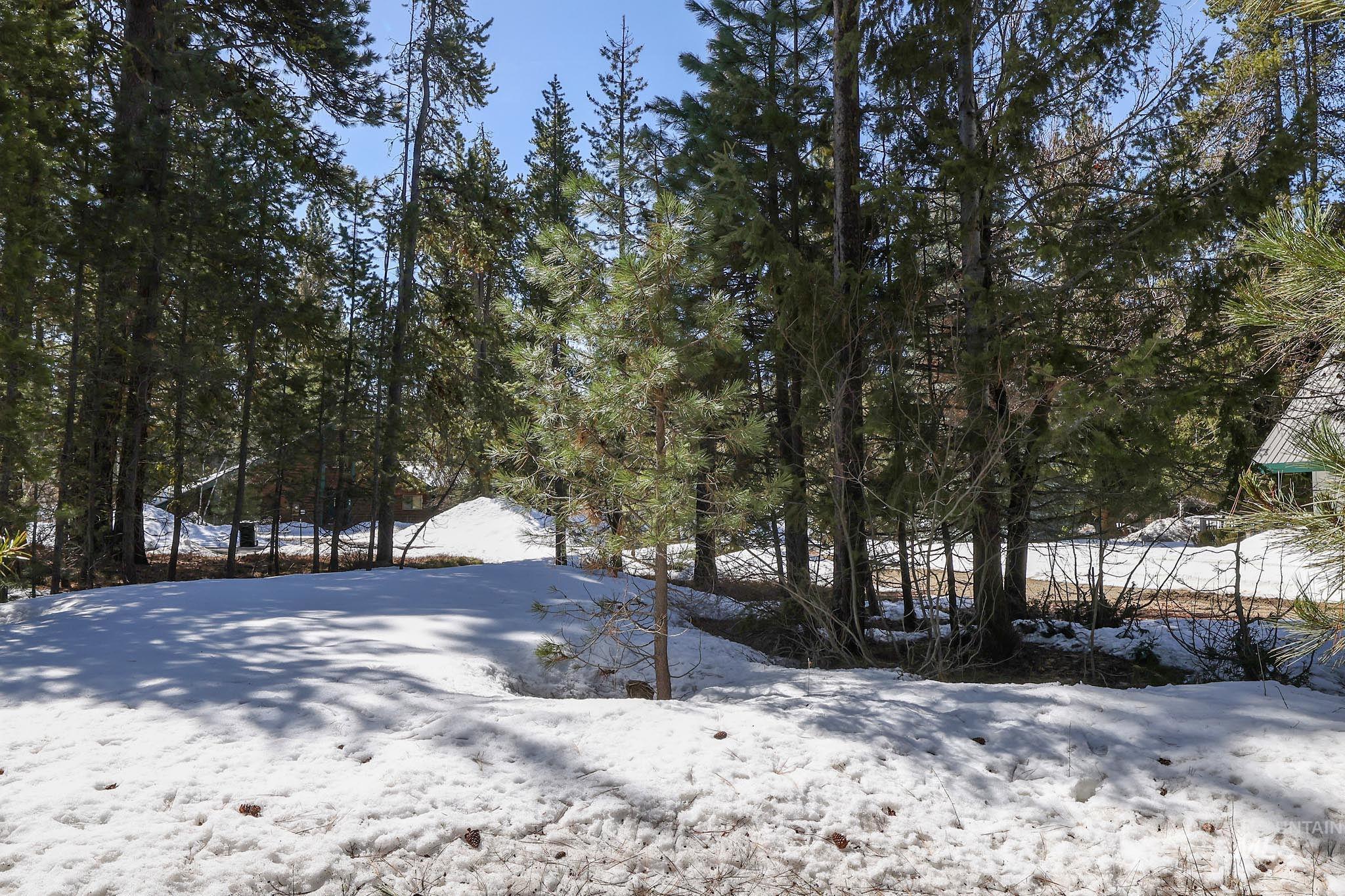 1013 Cee Way Loop, McCall