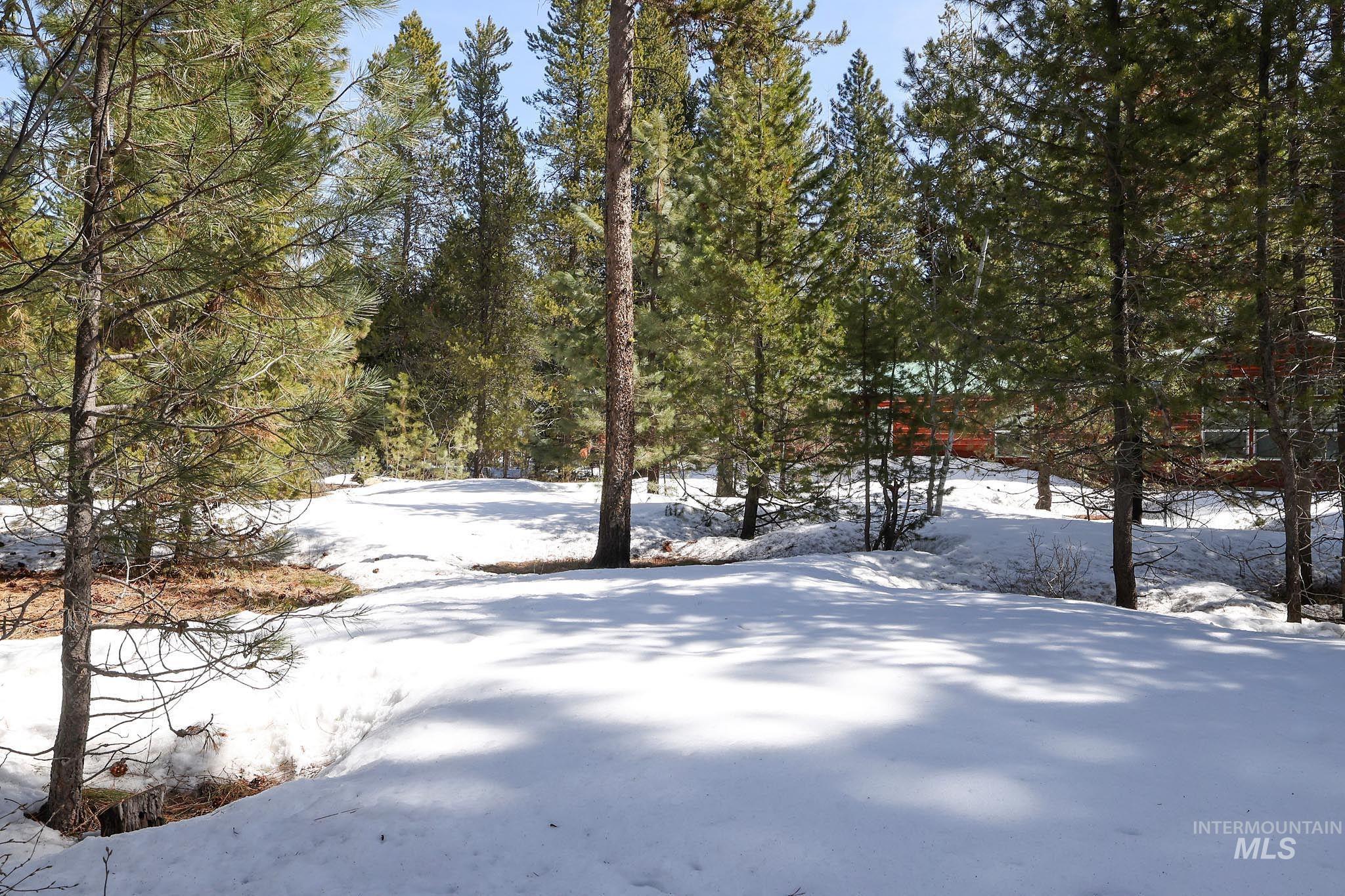 1013 Cee Way Loop, McCall