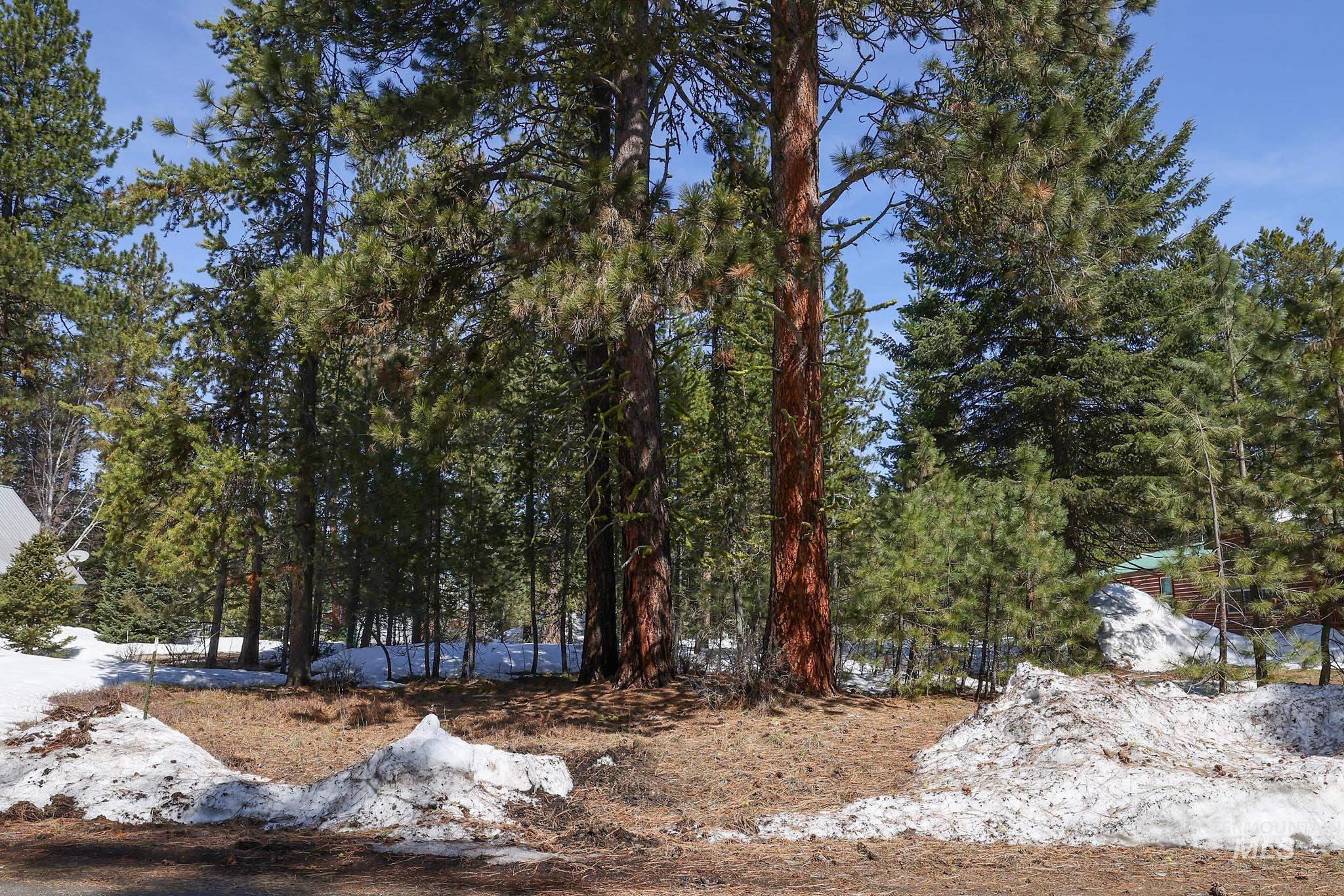 1013 Cee Way Loop, McCall
