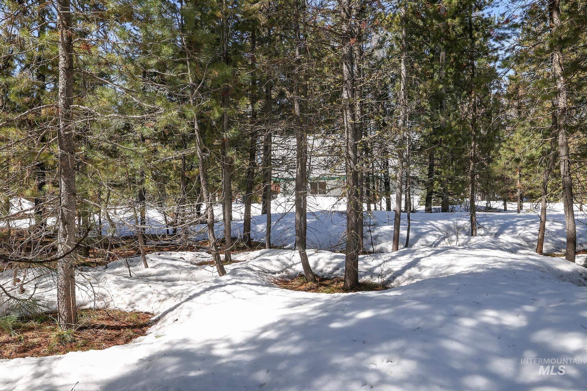 1013 Cee Way Loop, McCall