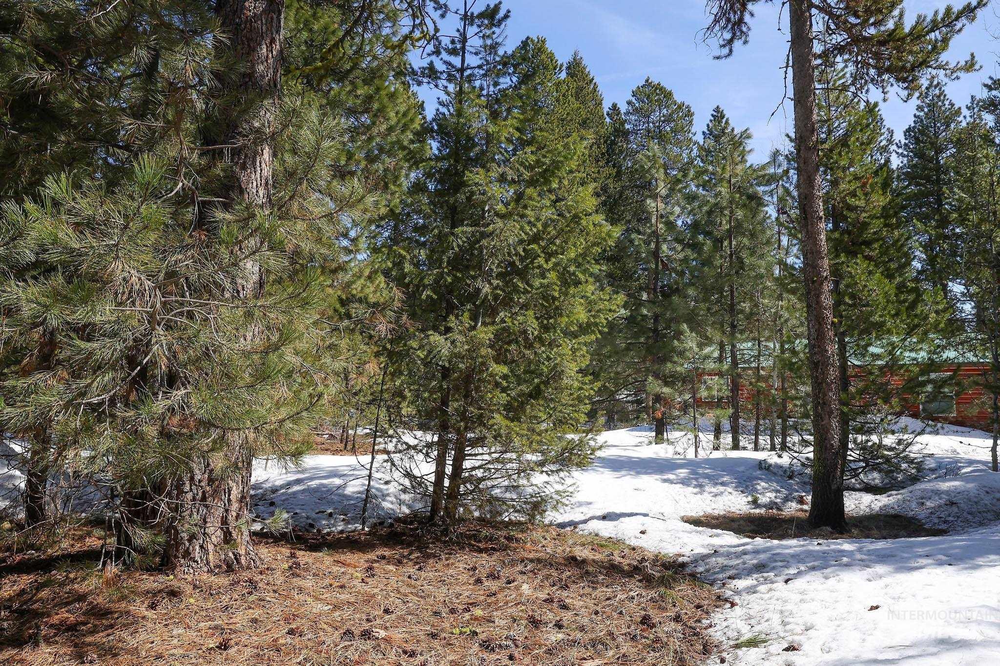 1013 Cee Way Loop, McCall