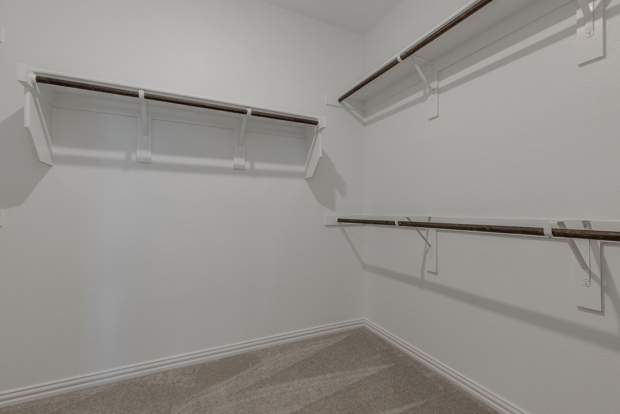 1513 Van Gogh Drive