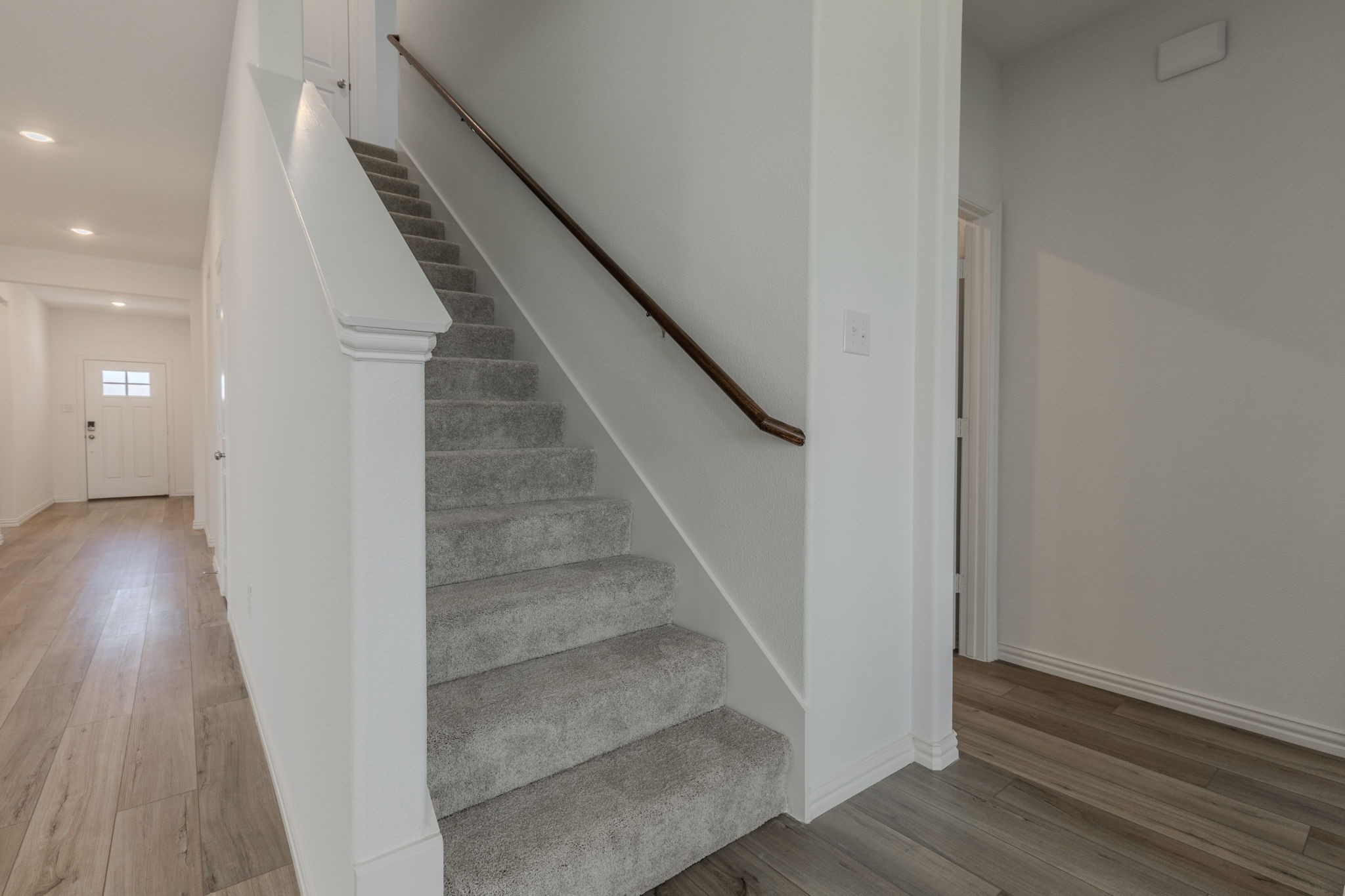 1513 Van Gogh Drive