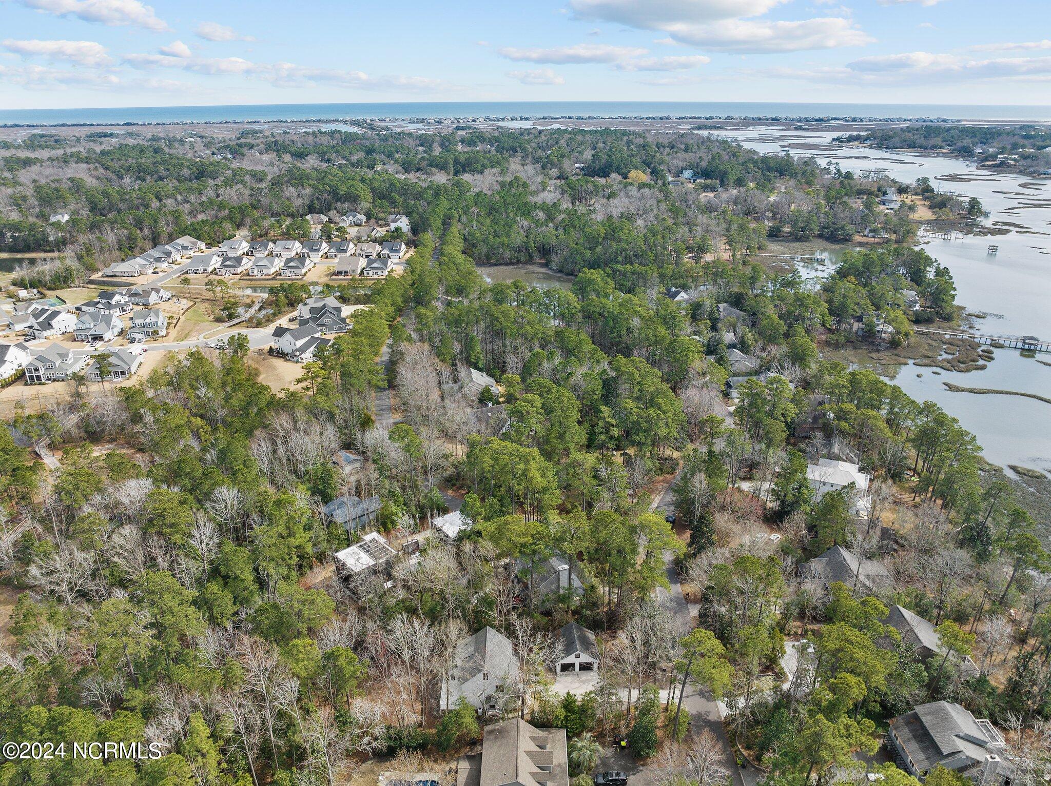 Aerial view of wooded homes beside coastal marshes, with waterways and the ocean on the horizon.