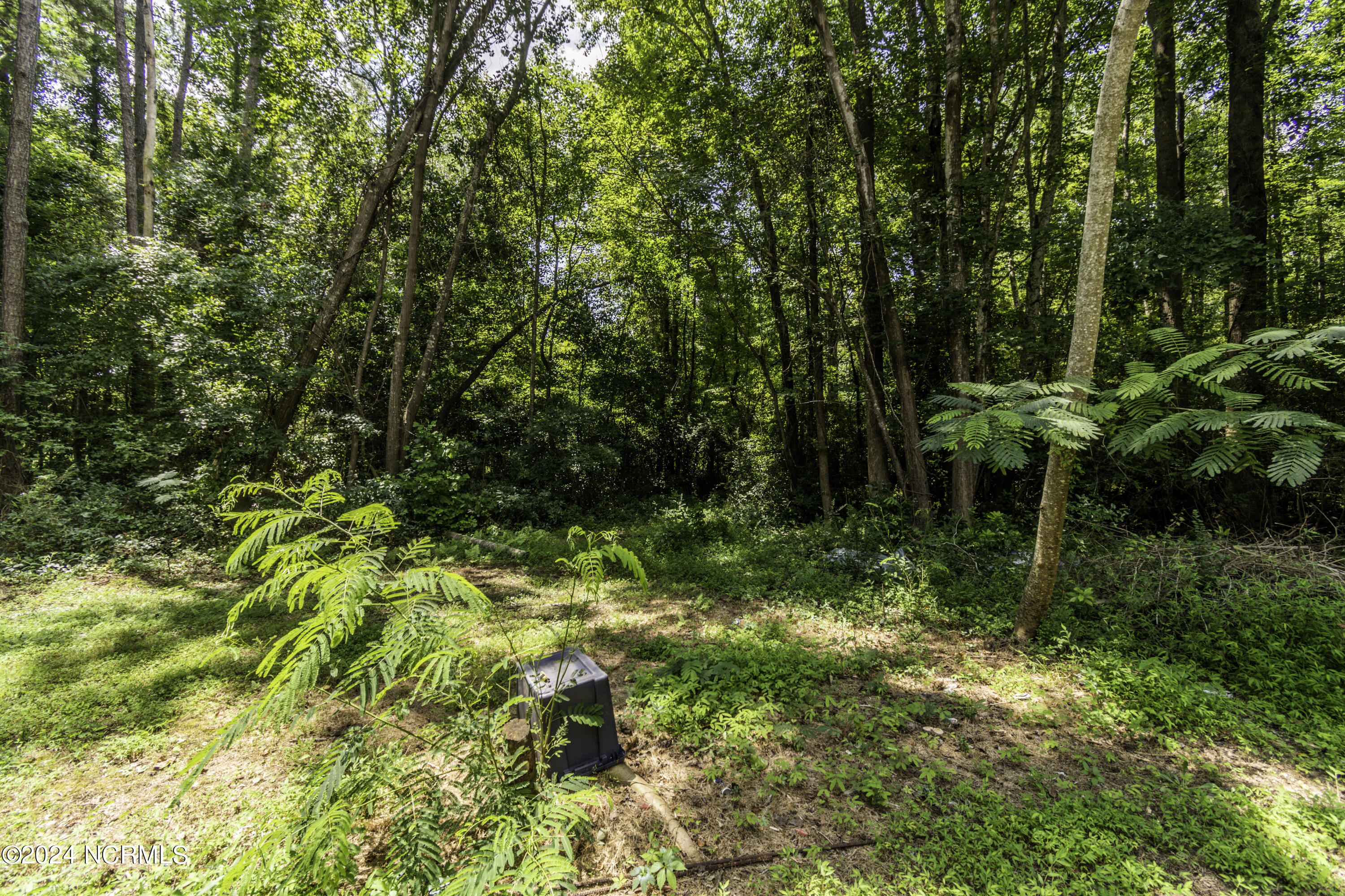 2080 Pony Farm Road